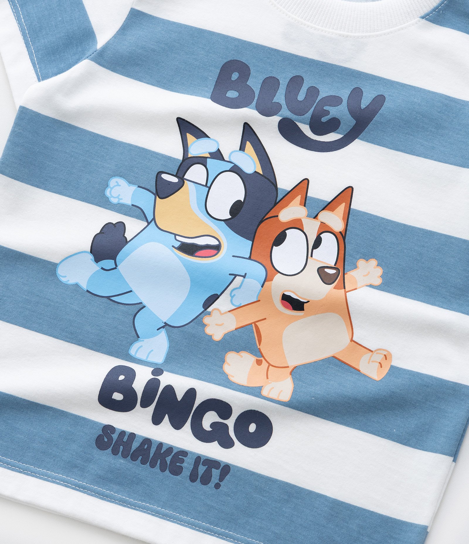 Camiseta Infantil com Estampa Bluey e Bingo - Tam 2 a 6 Anos Azul/Branco 5