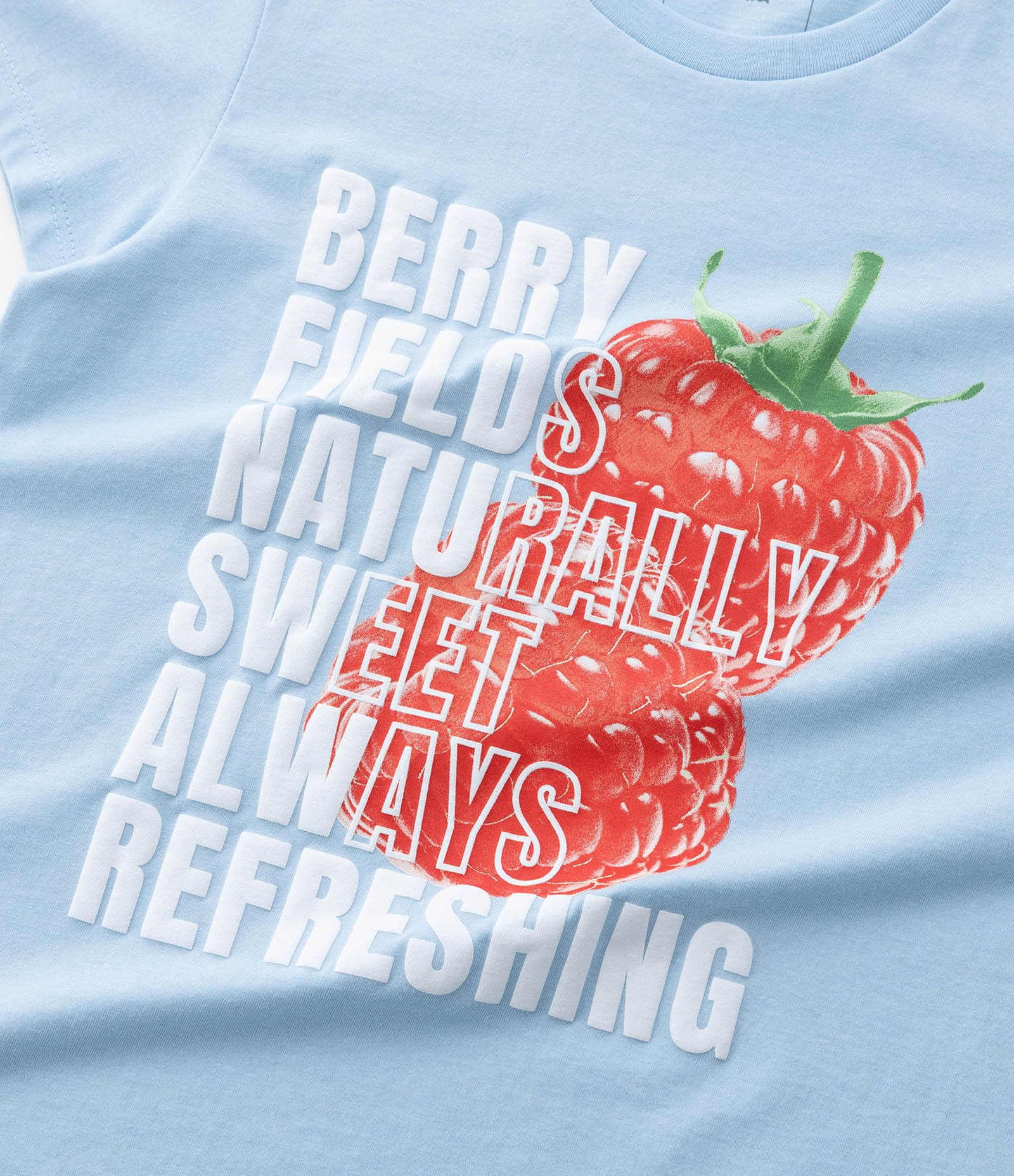 Camiseta Infantil com Estampa Frutinha - Tam 5 a 14 Anos Azul 5