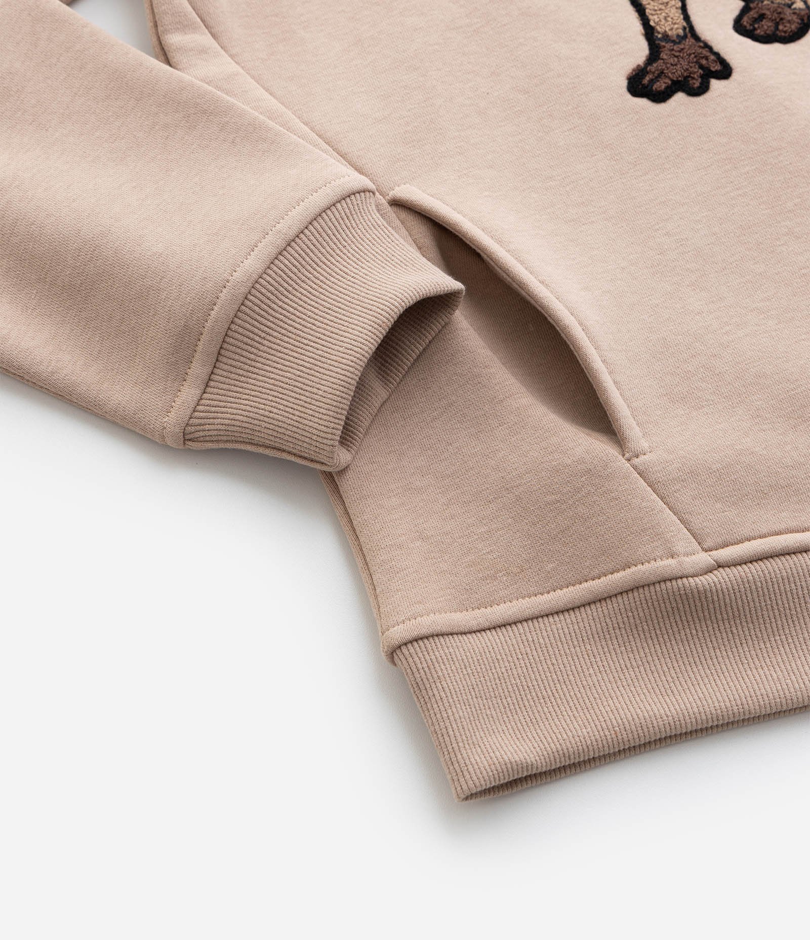 Blusão Infantil em Chenille com Estampa de Capiva - Tam 5 a 14 Anos Marrom 5