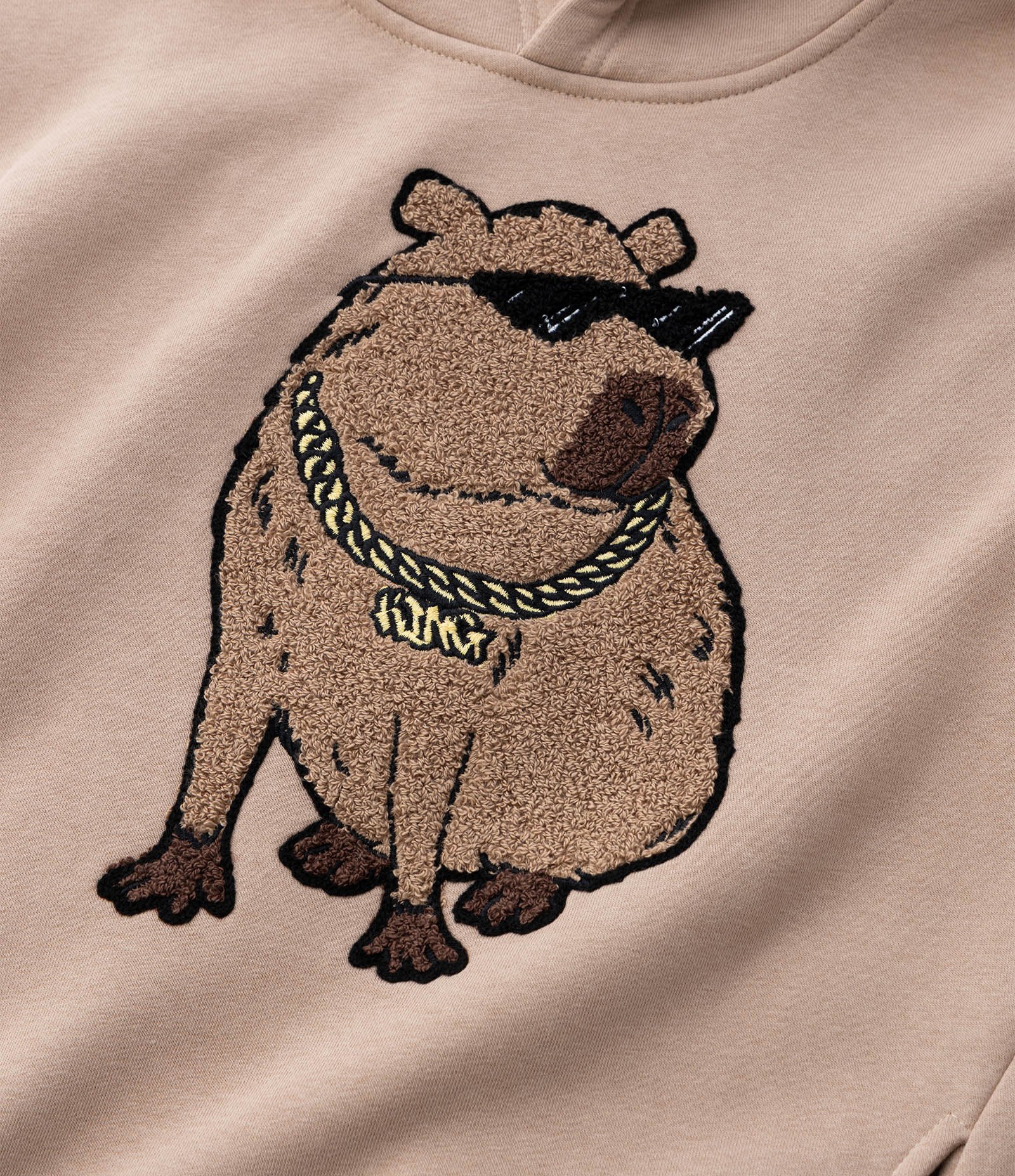 Blusão Infantil em Chenille com Estampa de Capiva - Tam 5 a 14 Anos Marrom 7