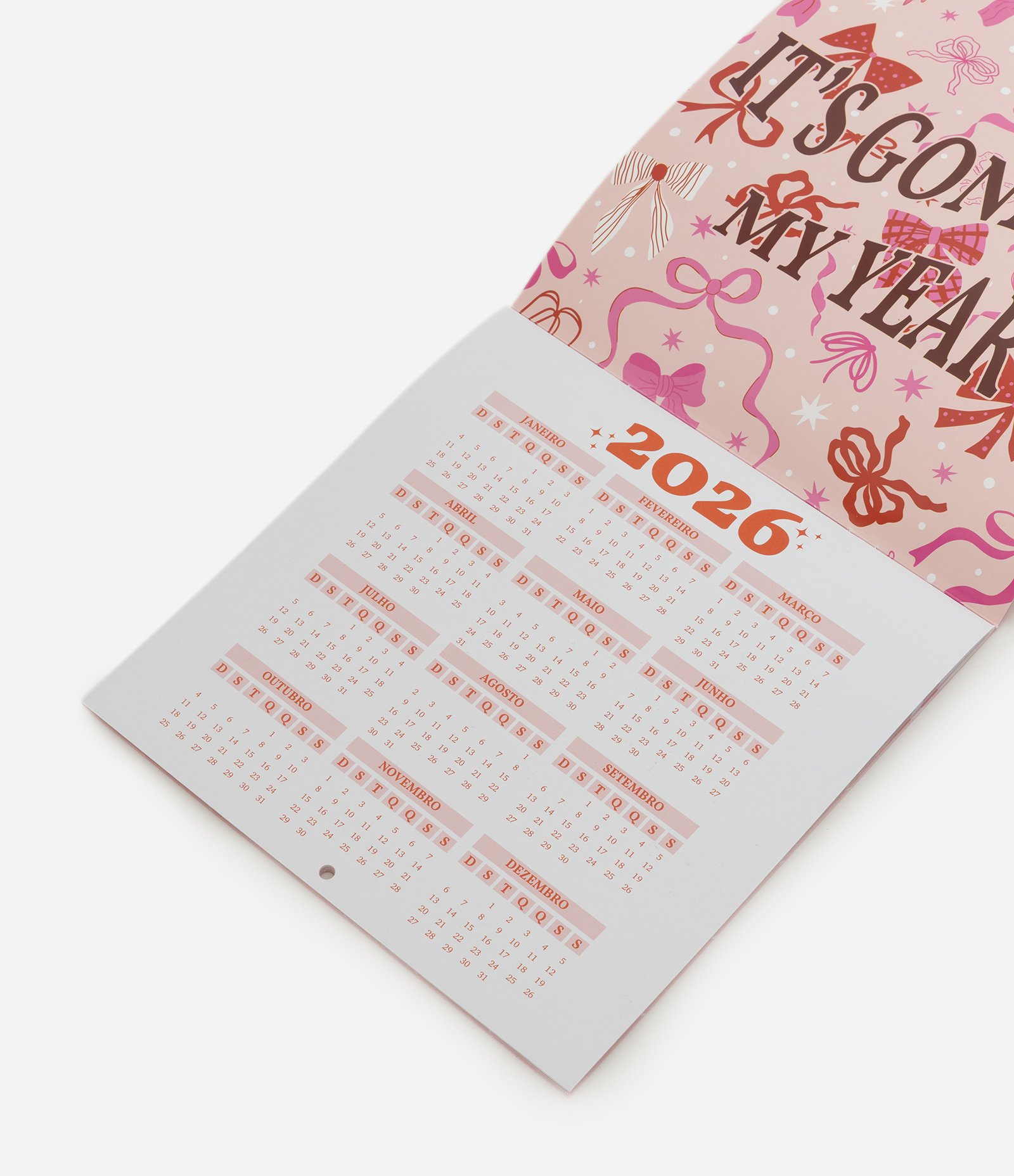 Calendário Divertido com Página de Realizações do Ano Rosa 3