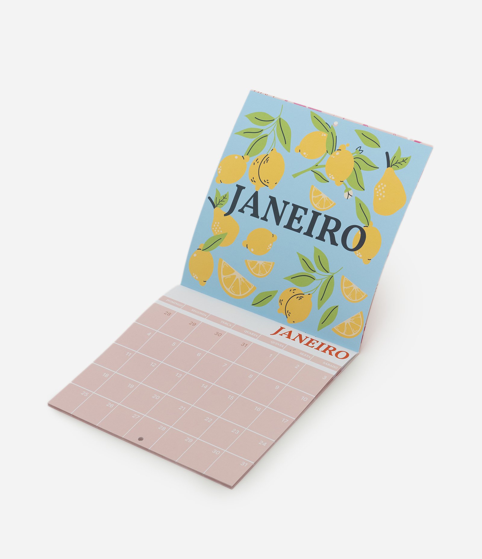 Calendário Divertido com Página de Realizações do Ano Rosa 6