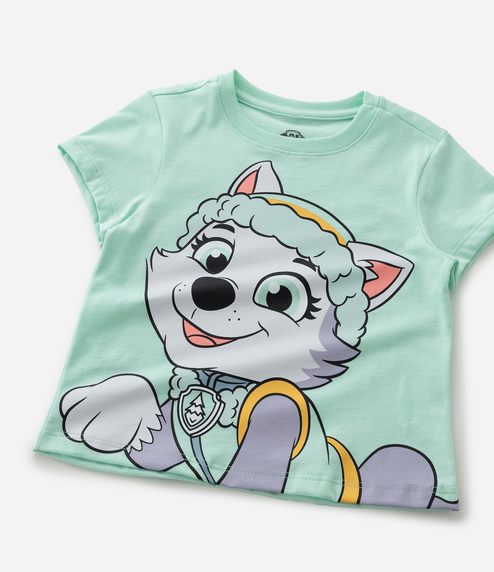 Camiseta Regular Infantil com Estampa e Máscara Everest Patrulha Canina - Tam 1 a 6 Anos Verde 6