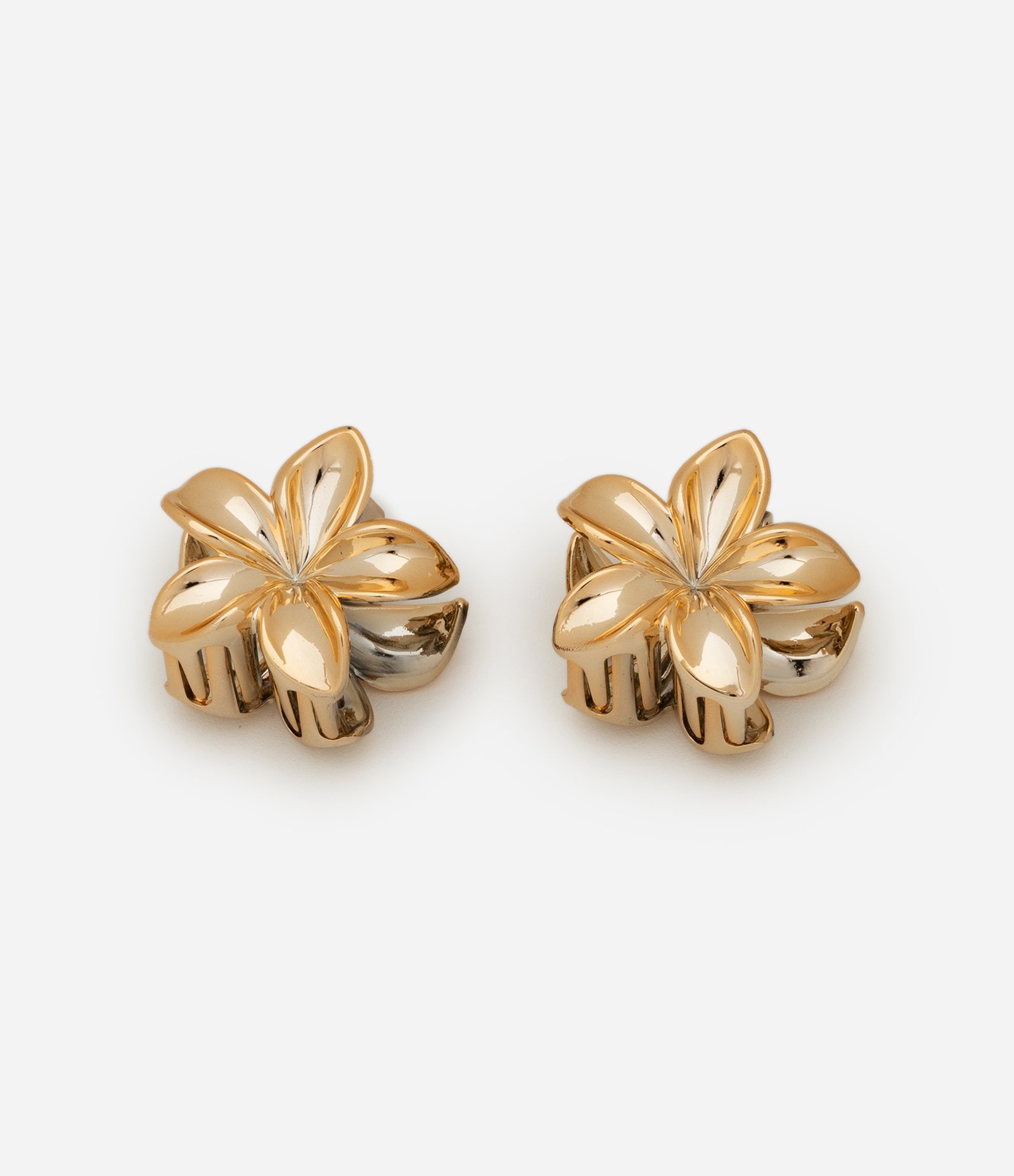 Kit 02 Piranhas de Cabelo com Forma de Flor Dourado 2