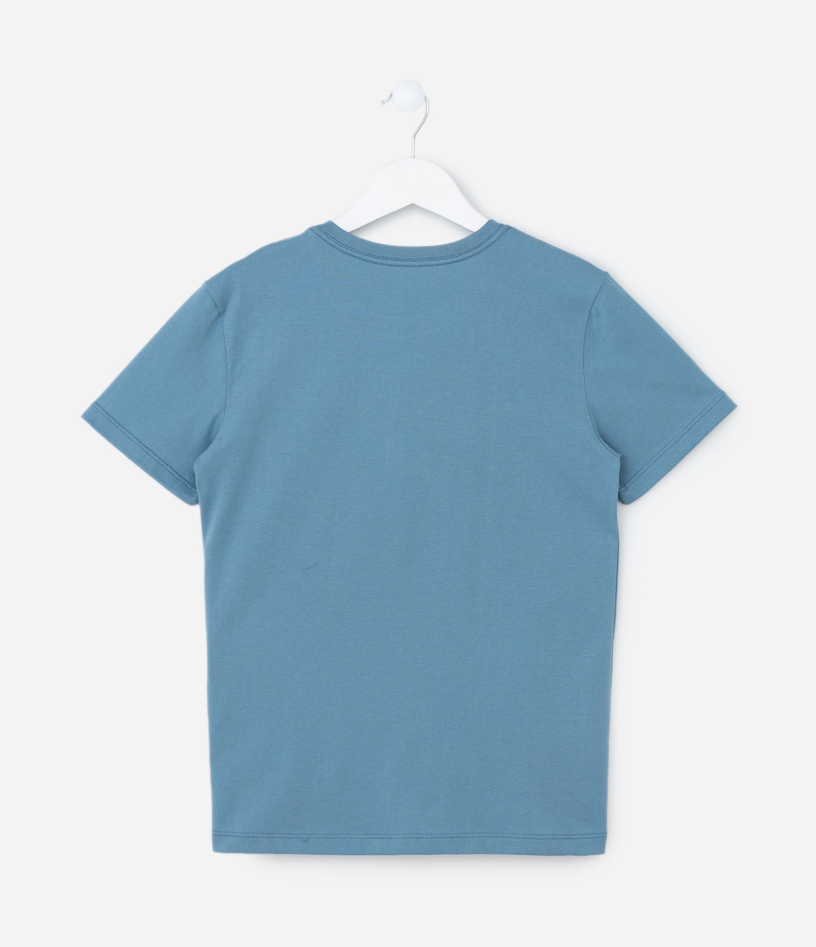 Camiseta Infantil com Estampa Urso com Lettering - Tam 5 a 14 Anos Azul 2