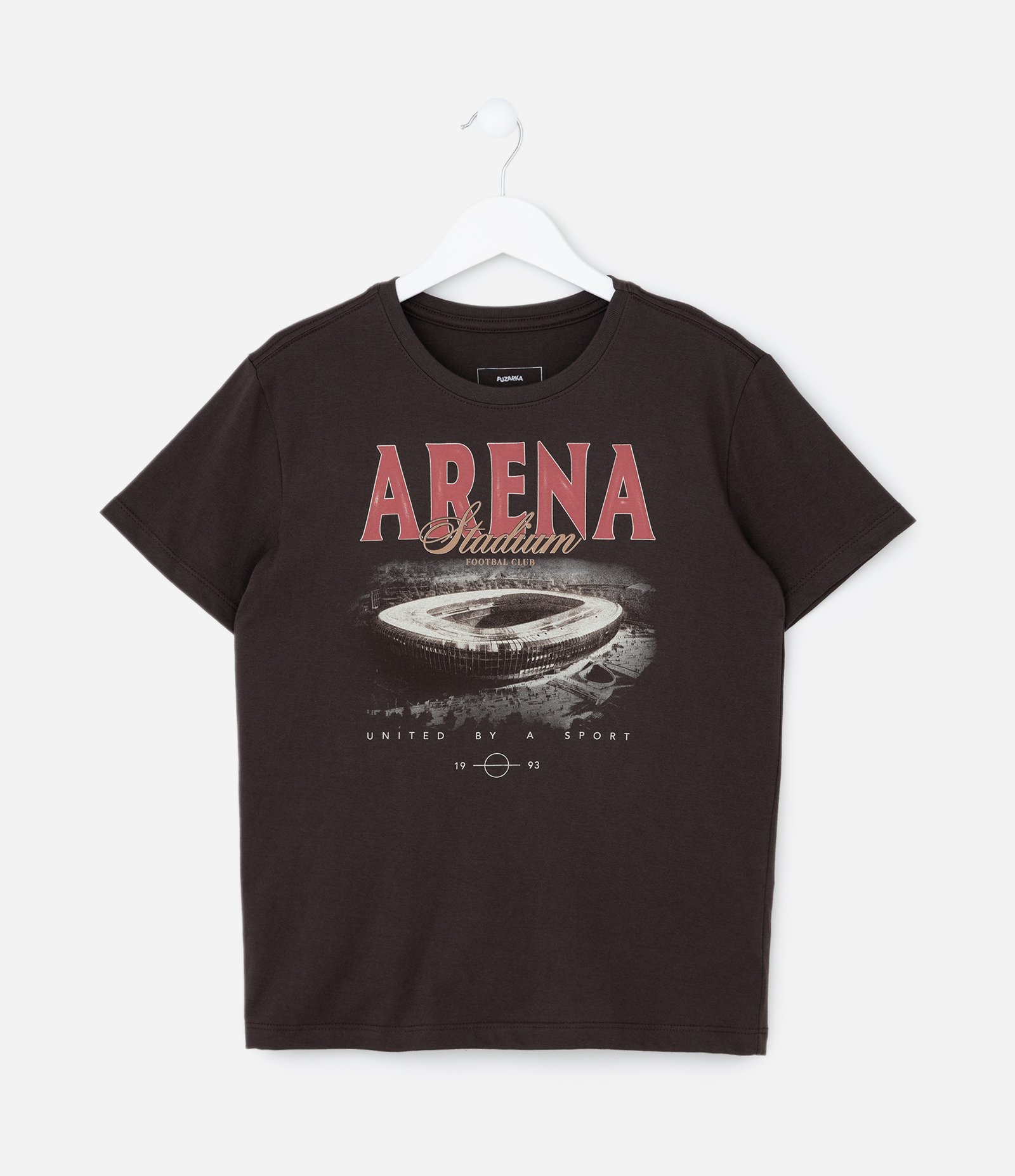 Camiseta Infantil com Estampa Arena Stadium - Tam 5 a 14 Anos Marrom 1