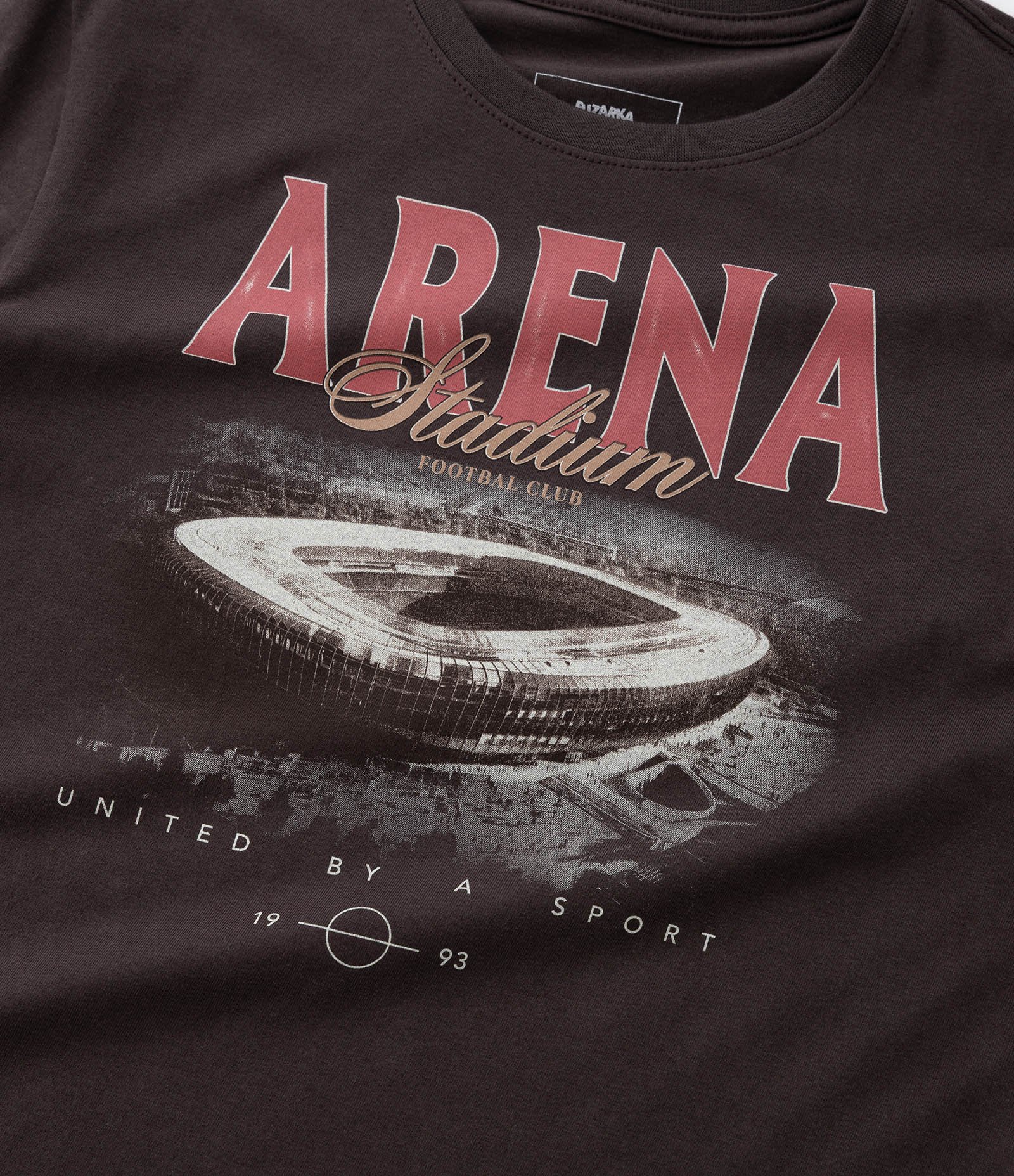 Camiseta Infantil com Estampa Arena Stadium - Tam 5 a 14 Anos Marrom 4