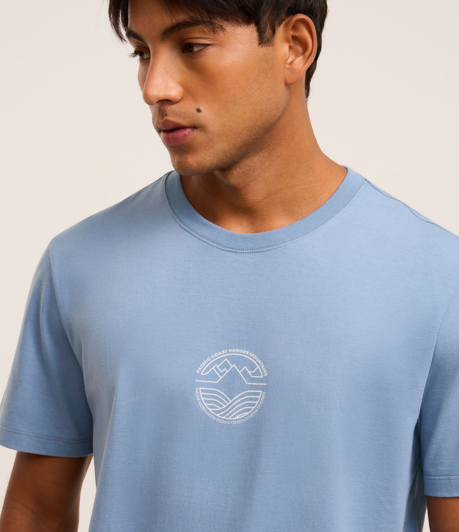 Camiseta Comfort em Algodão com Estampa Mini Silk Minimalista Azul 3