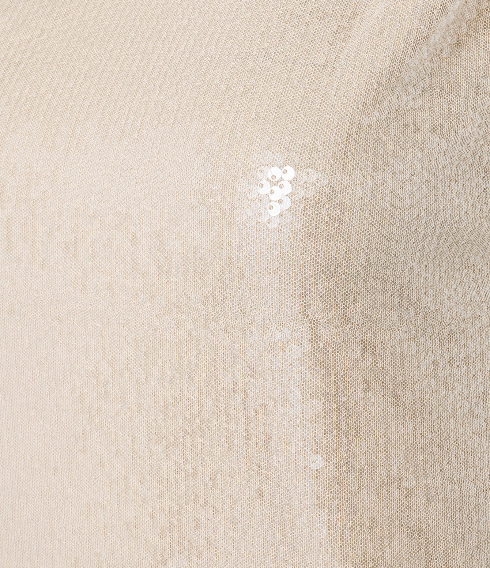 Blusa Ombro Só em Paetê Transparente e Franzido na Alça Bege 8