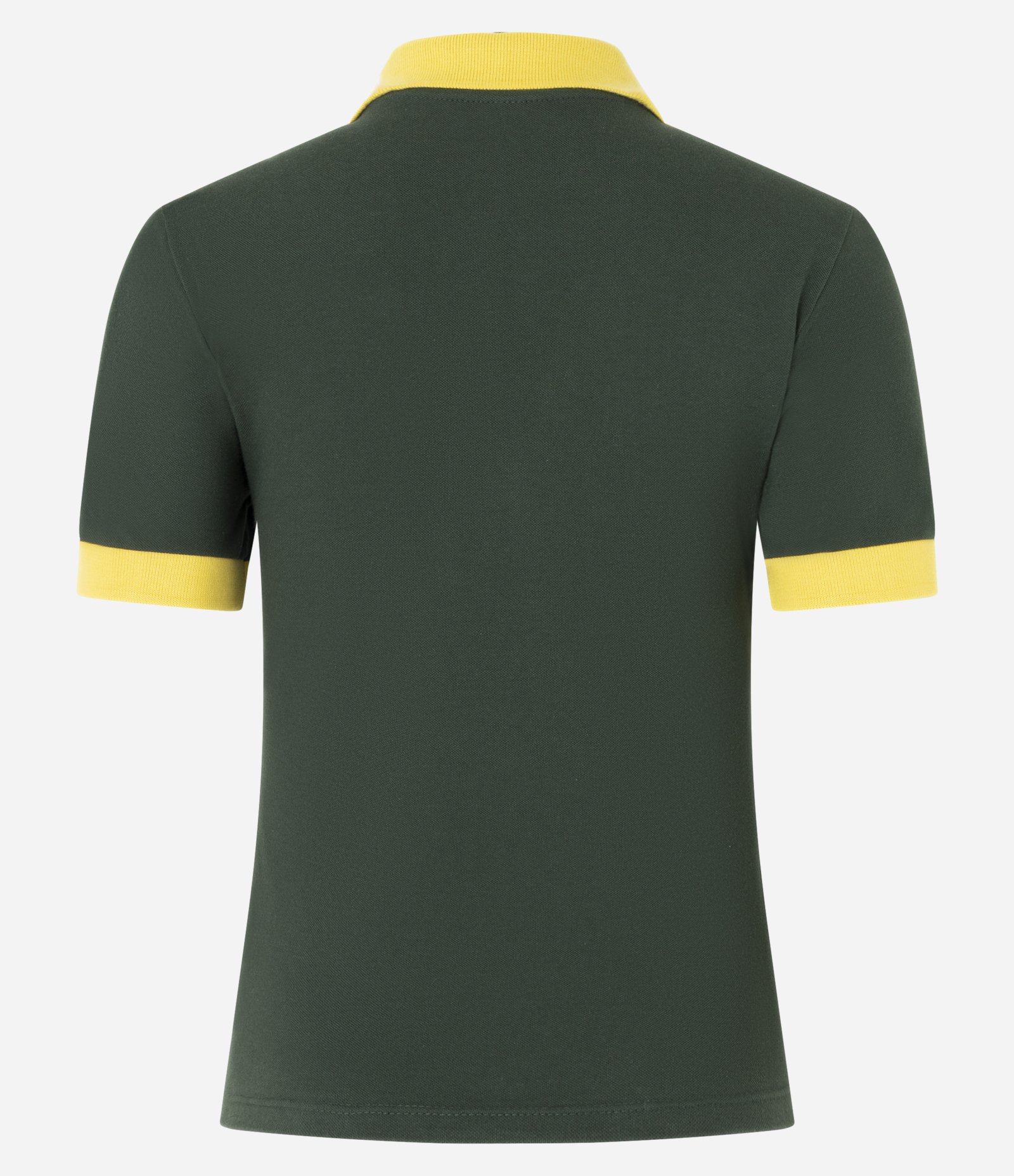 Blusa Polo em Piquet Bicolor com Estampa Brazil Verde 7