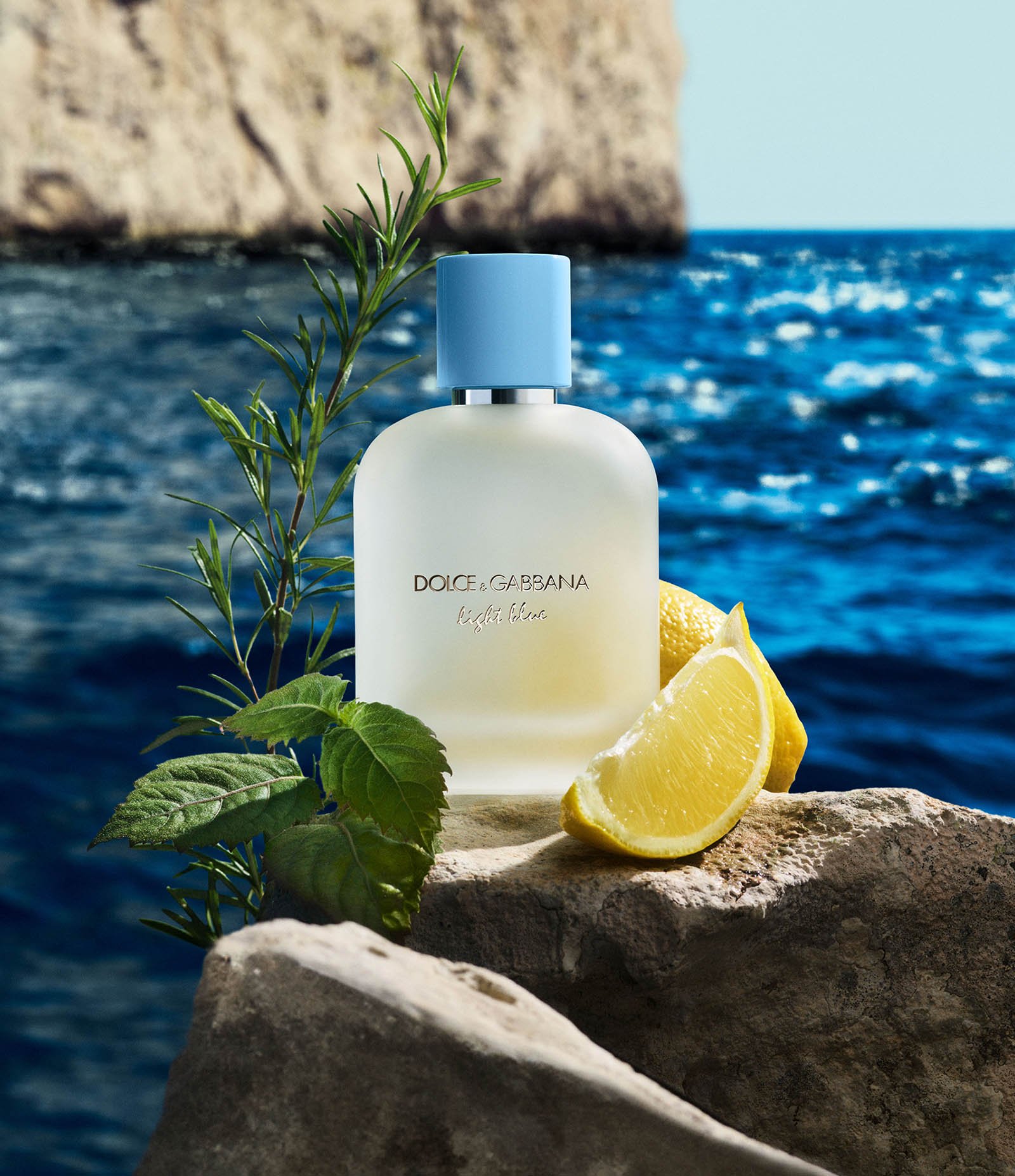 Perfume Dolce Gabbana Light Blue Revamp Pour Homme Eau de Toilette 100ml 3