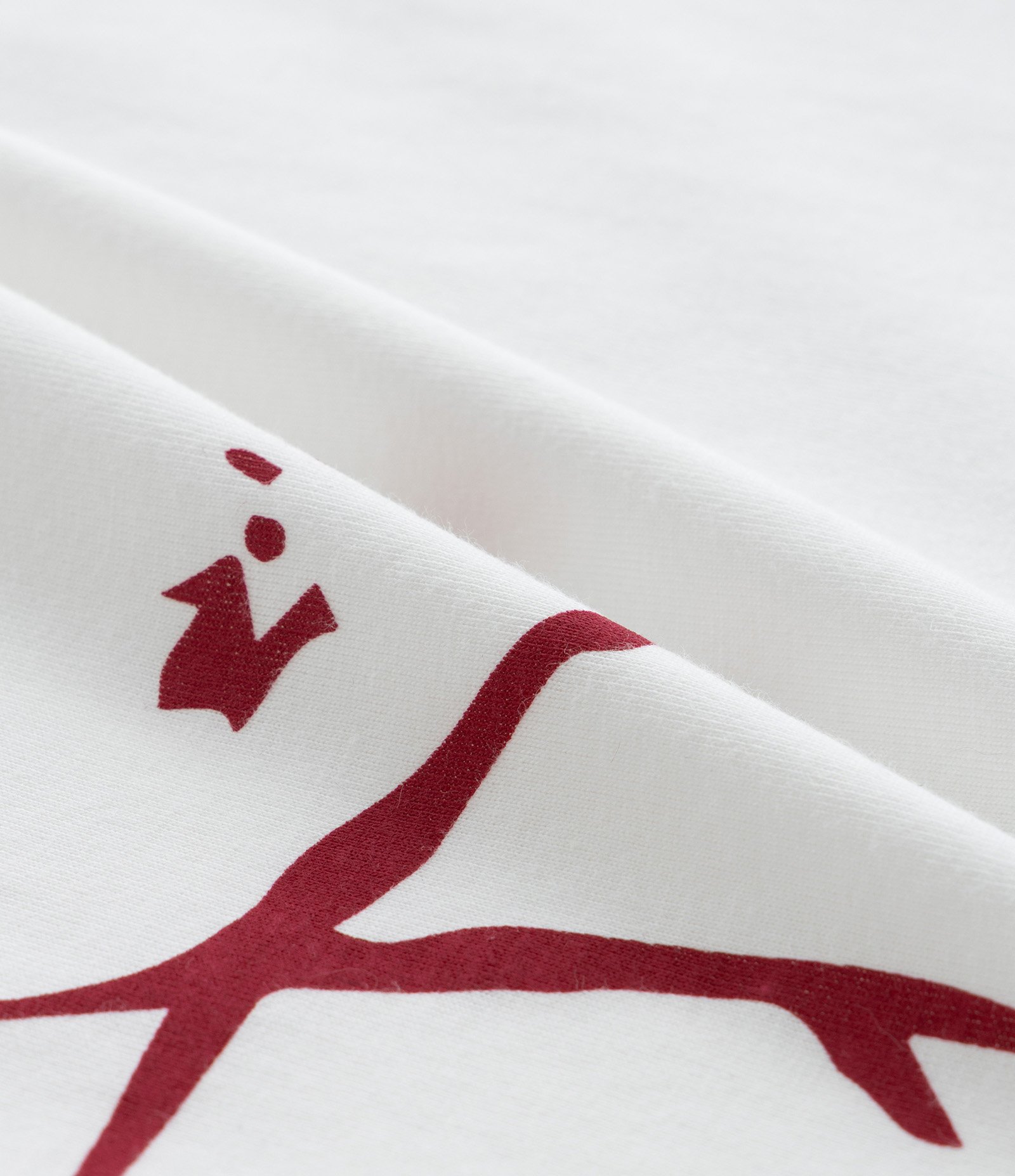 Camiseta Infantil Halloween com Estampa de Caveira e Arranhão de Sangue - Tam 5 a 14 Anos Branco 4