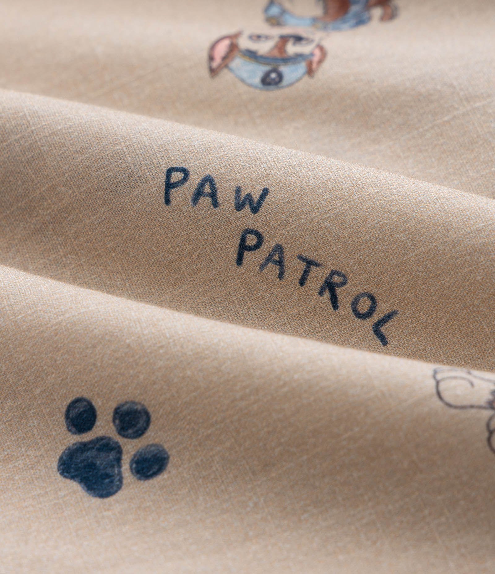 Conjunto Infantil em Algodão Patrulha Canina - Tam 2 a 6 Anos Marrom/Azul 8