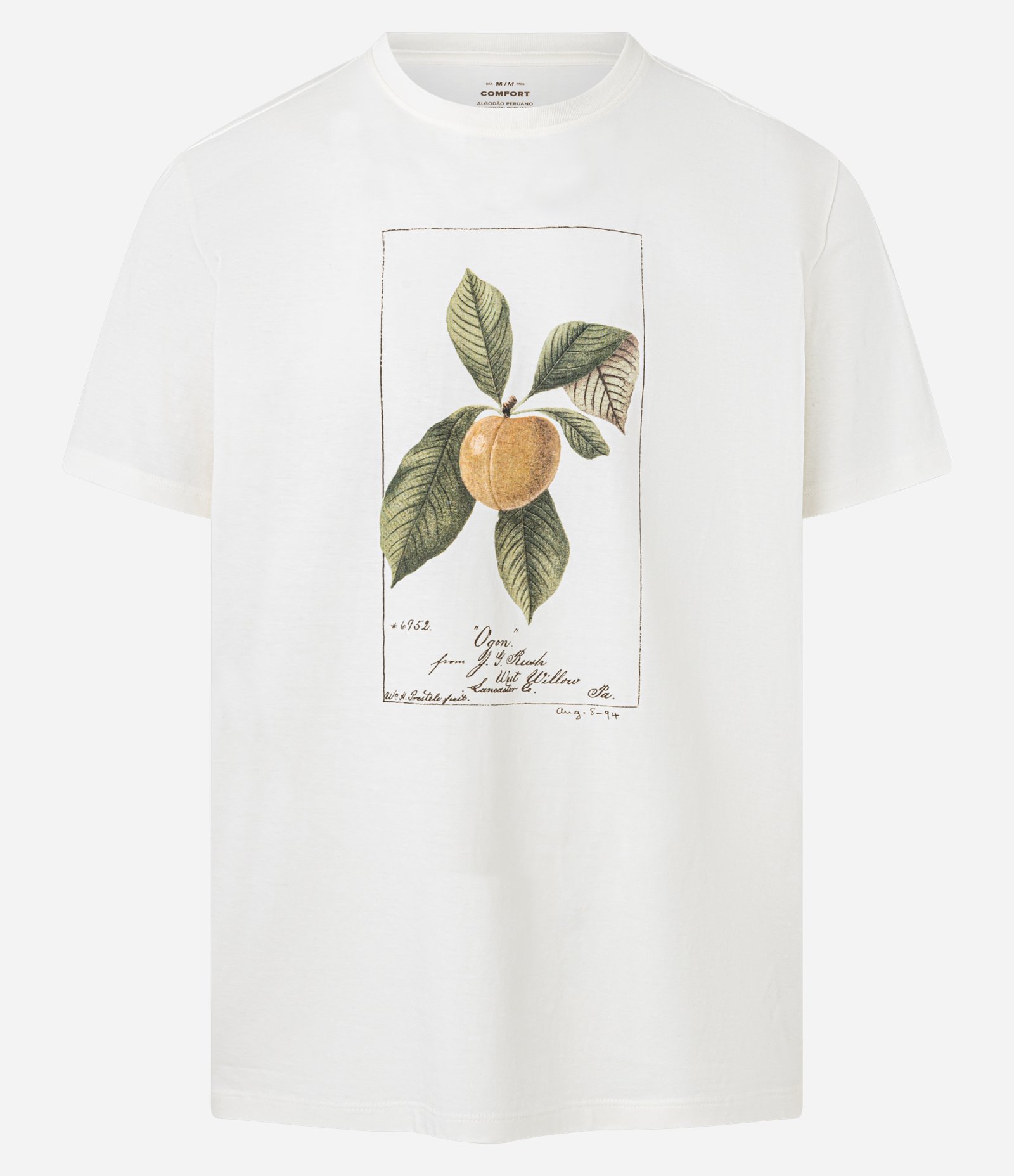 Camiseta em Algodão com Estampa Tropical Fruta Branco 6