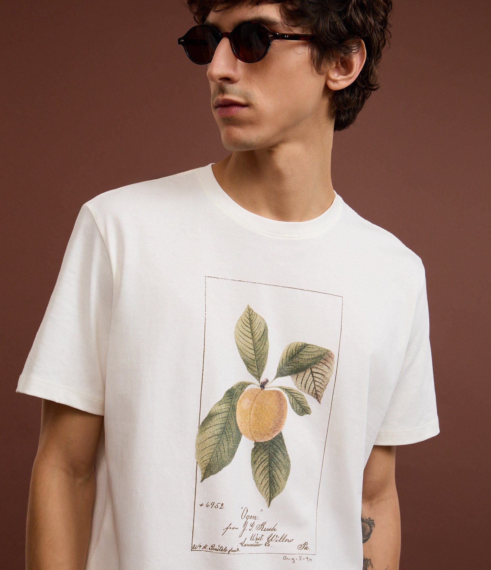 Camiseta em Algodão com Estampa Tropical Fruta Branco 3