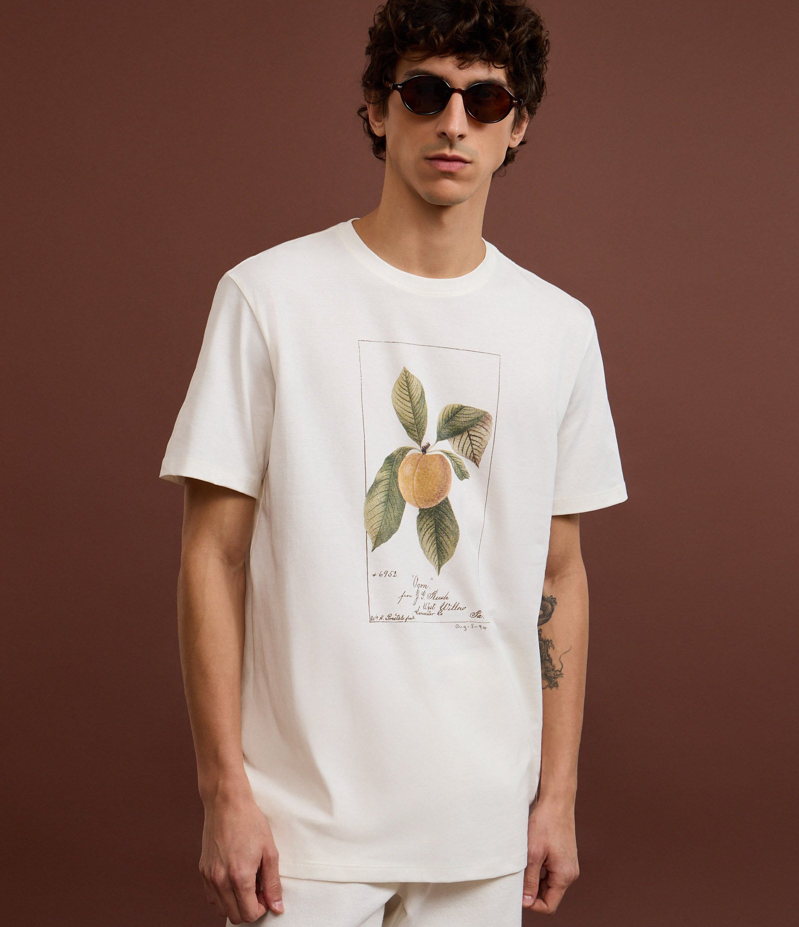 Camiseta em Algodão com Estampa Tropical Fruta Branco 5