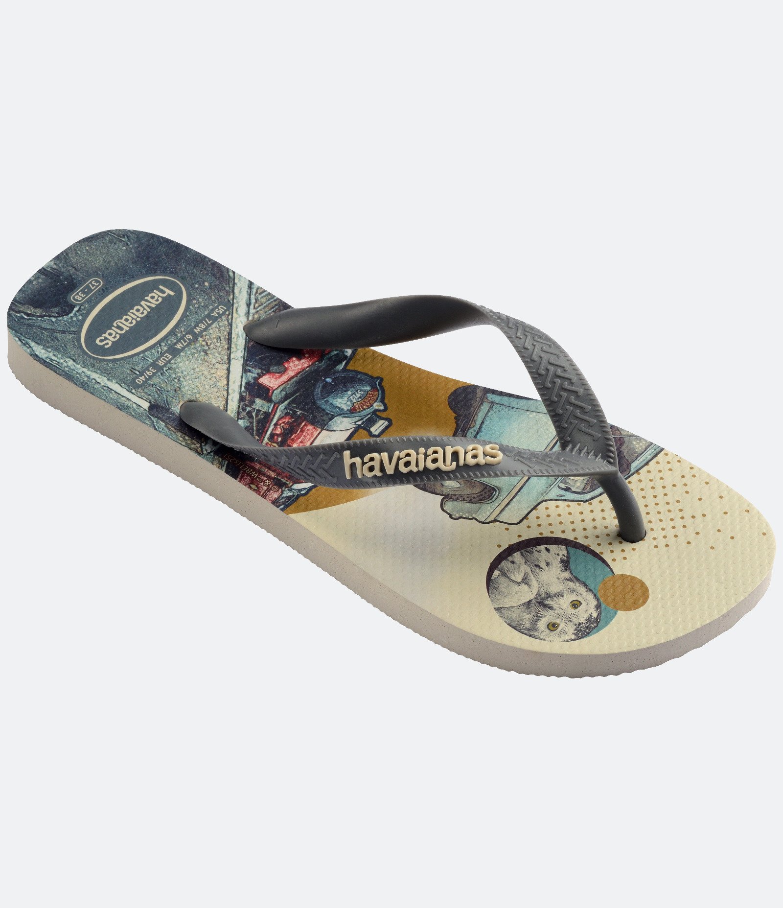 Chinelo Havaianas com Estampa Harry Potter Cinza/Bege 5