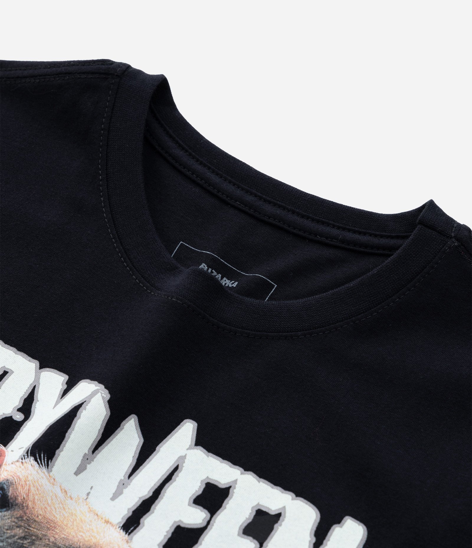 Camiseta Infantil com Estampa Capivara de Halloween - Tam 5 a 14 Anos Preto 5