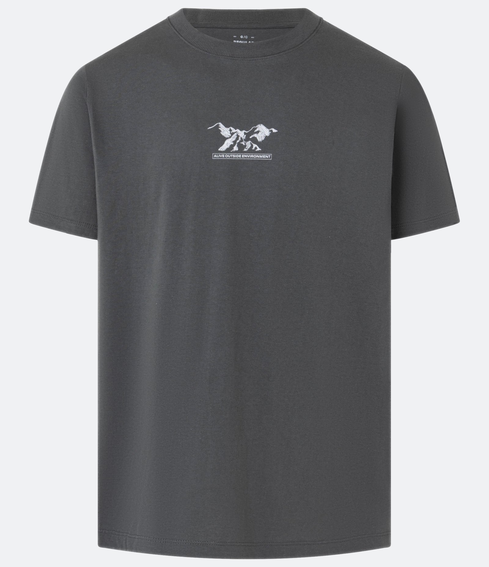 Camiseta T-Shirt em Algodão com Estampa Montanha Cinza 5
