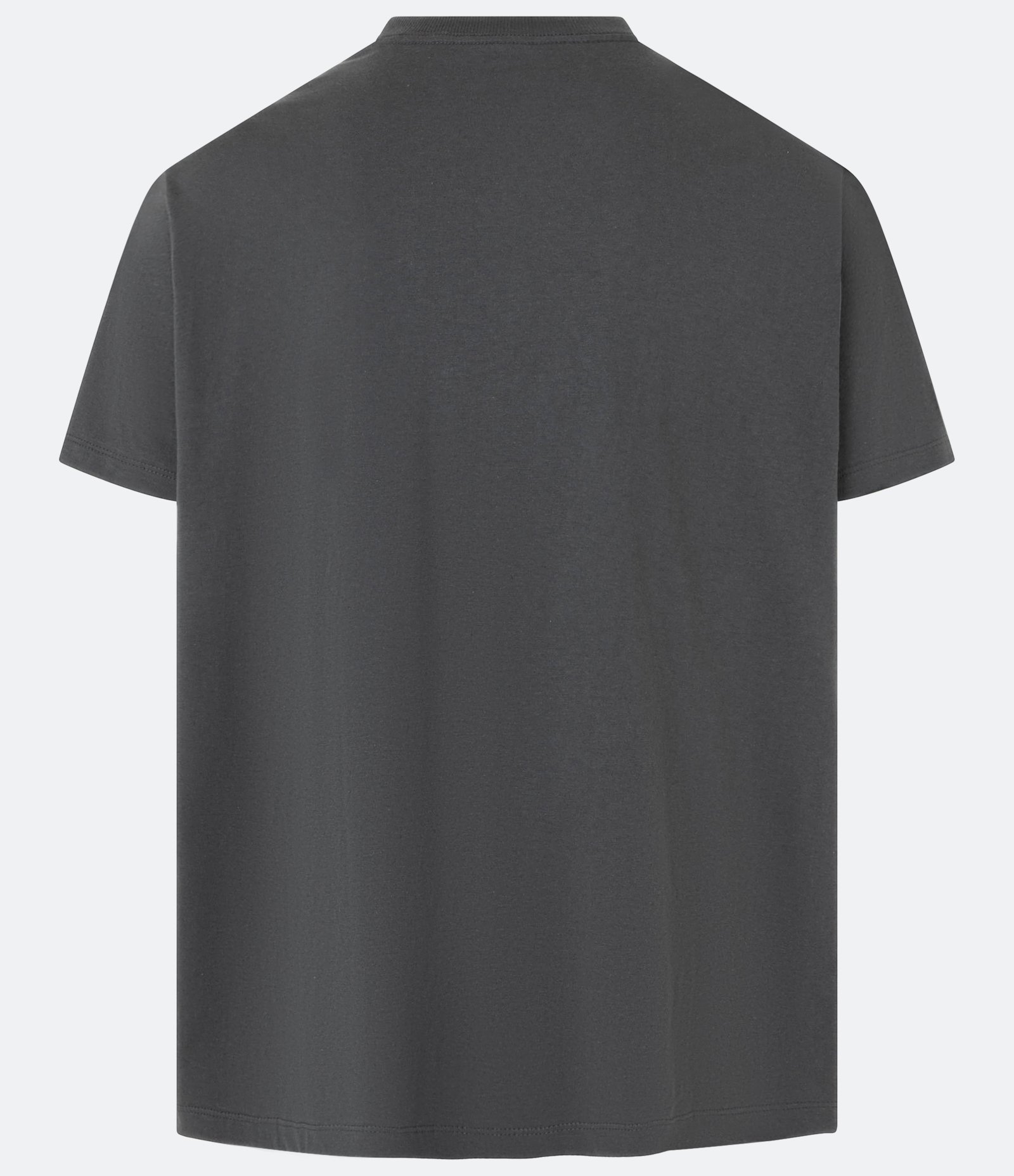 Camiseta T-Shirt em Algodão com Estampa Montanha Cinza 6