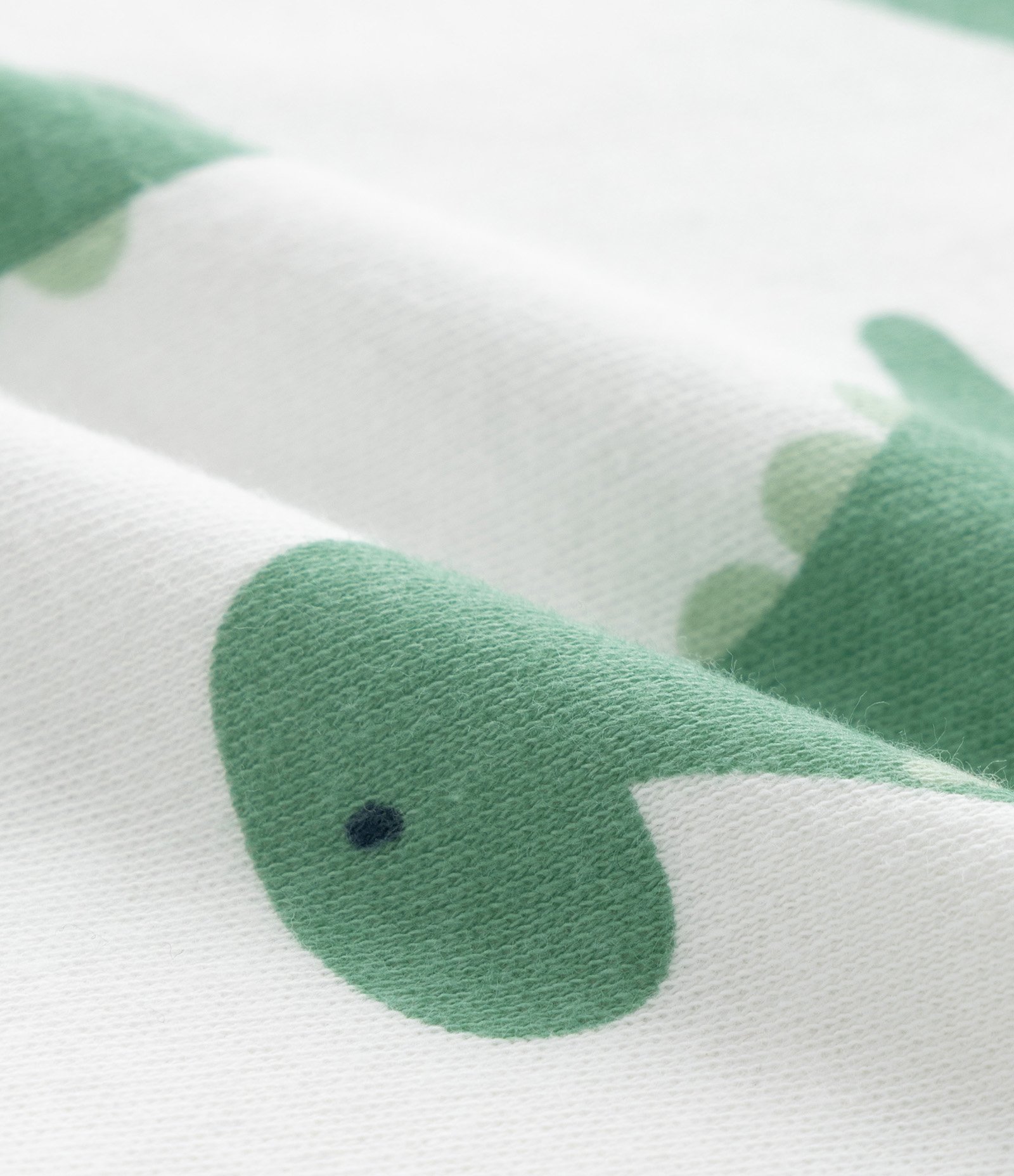 Conjunto Infantil em Suedine Com Estampa de Dinossauro - Tam RN a 18 Meses Branco/Verde 9