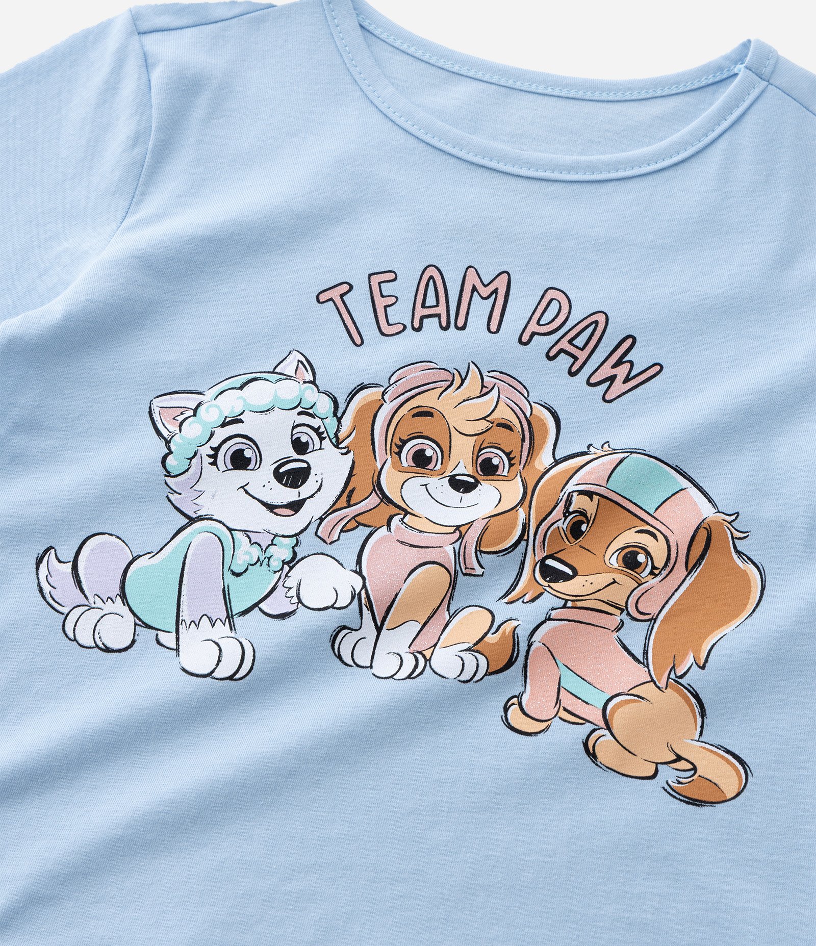 Camiseta Slim Infantil com Estampa Patrulha Canina - Tam 1 a 6 Anos Azul 4