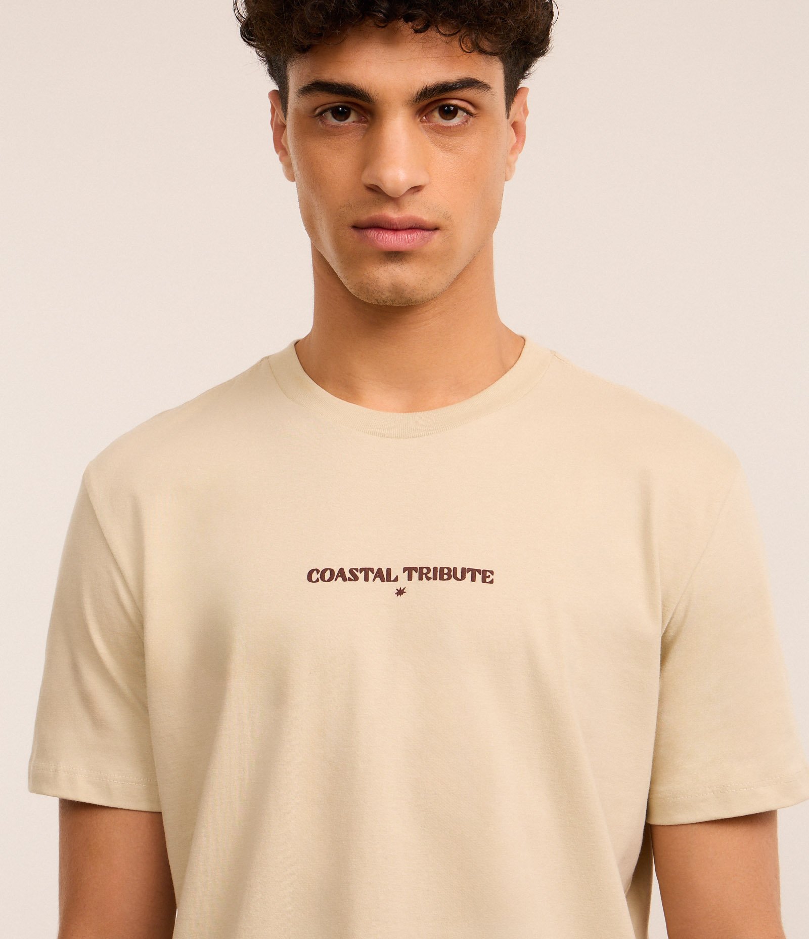 Camiseta Comfort em Algodão com Estampa de Paisagem e Lettering Bege 4