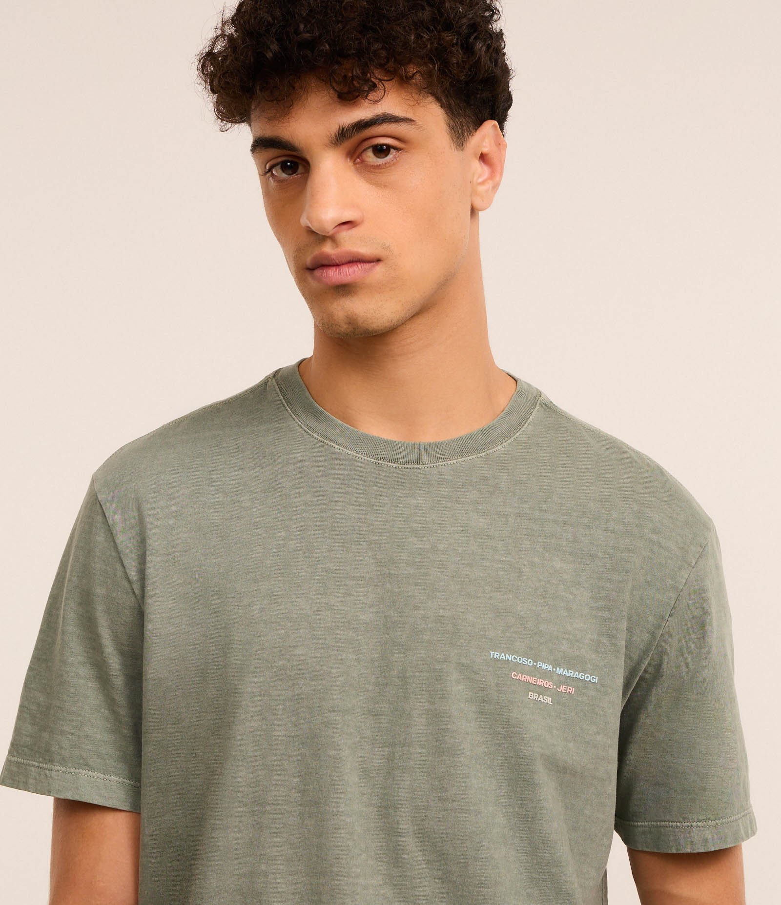 Camiseta Comfort Estonada com Estampa Turismo no Nordeste Verde 3