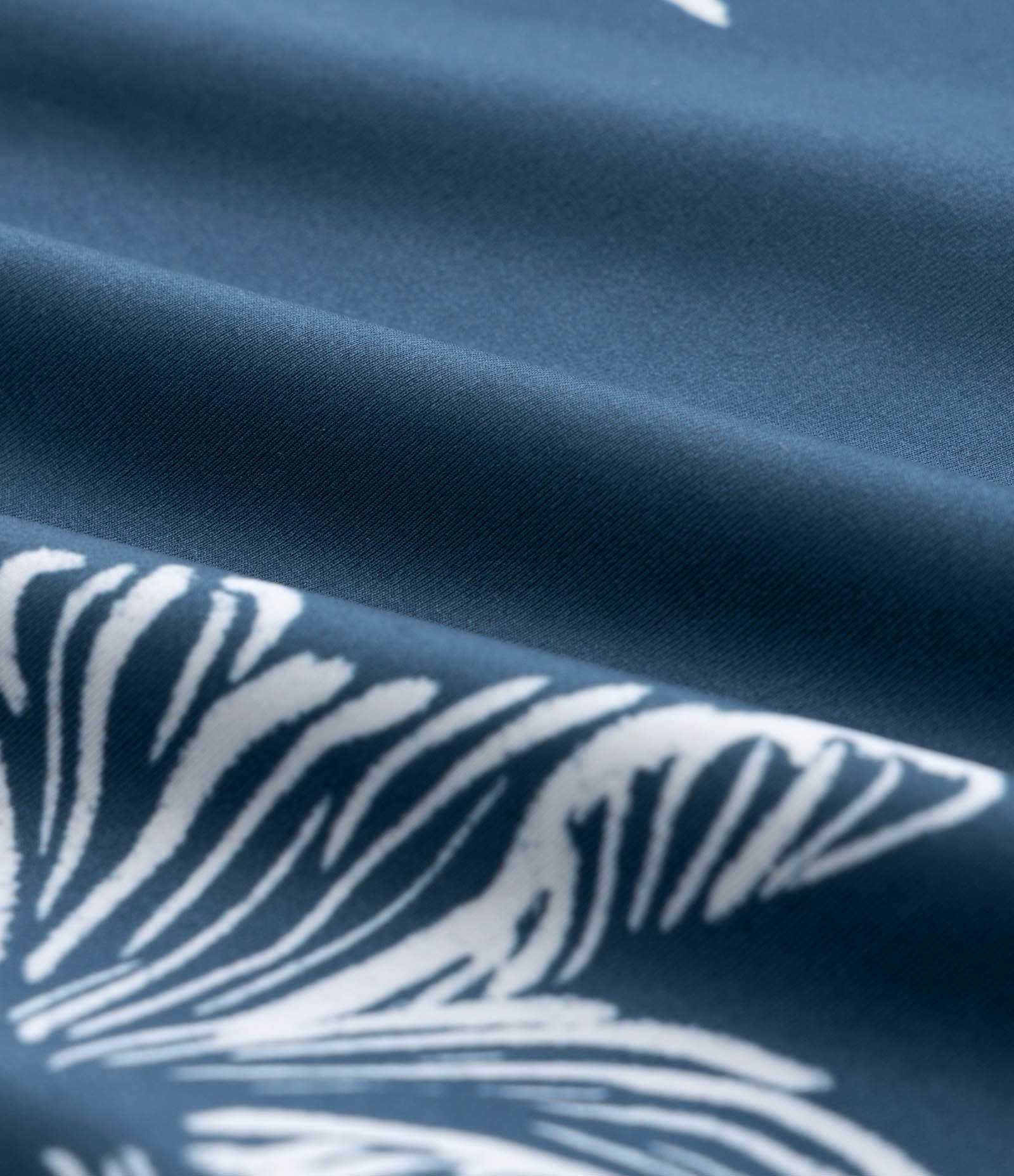 Sunga em Microfibra com Estampa de Folhagem e Cordão Interno Azul 8