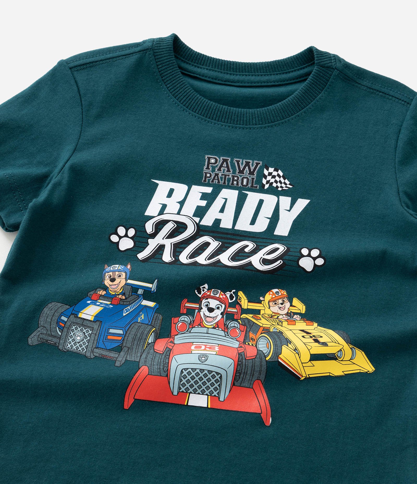 Camiseta Infantil com Estampa Patrulha Canina Ready Race - Tam 2 a 6 Anos Verde 6