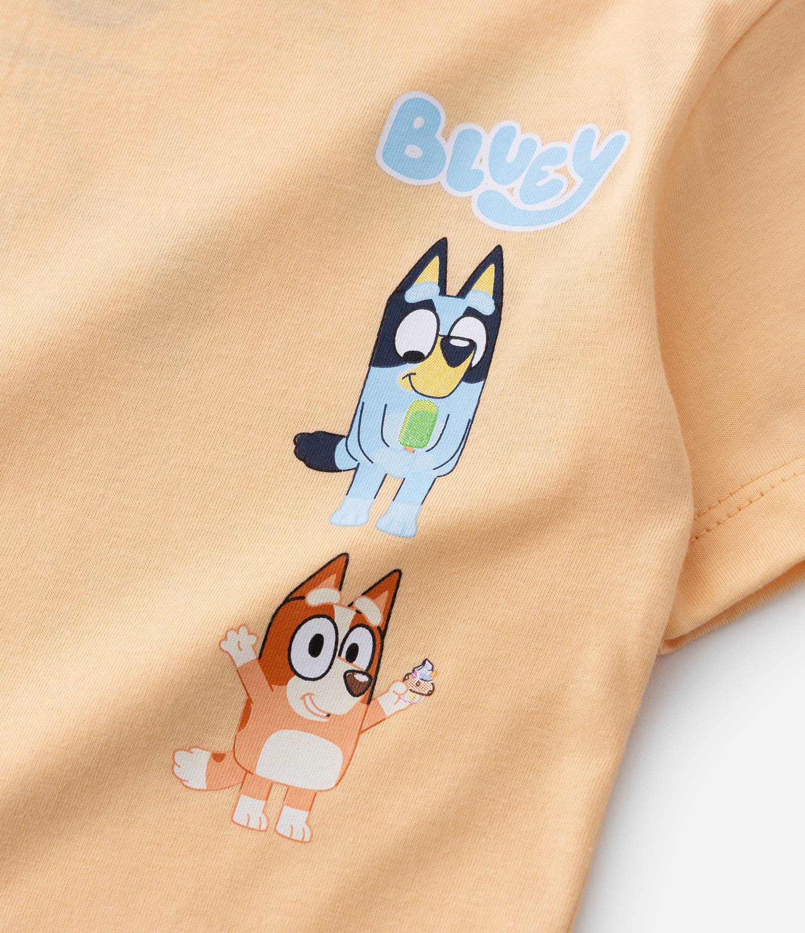Camiseta Infantil Estampa Frente e Costas Bluey e Bingo - Tam 2 a 6 Anos Amarelo 4
