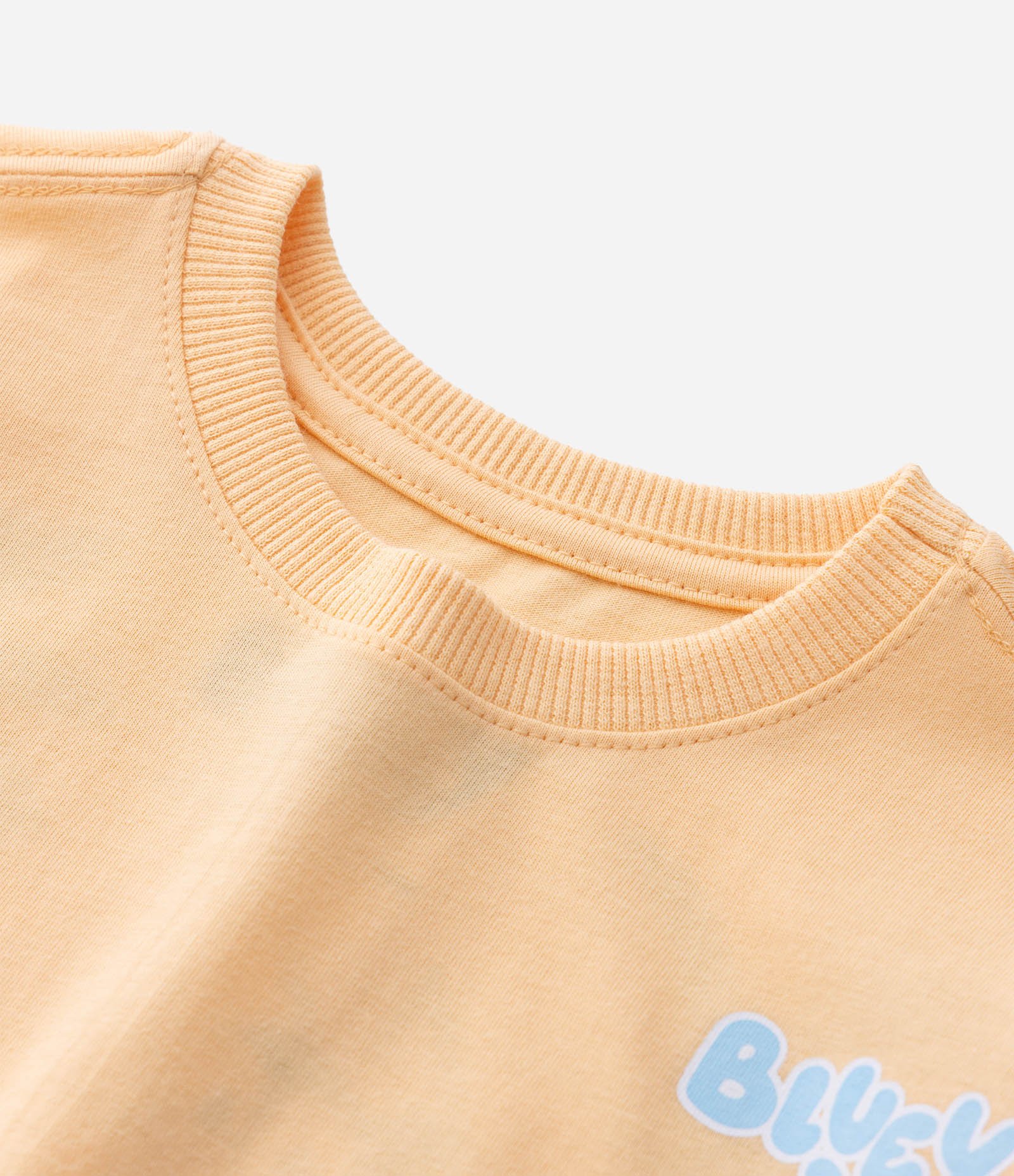 Camiseta Infantil Estampa Frente e Costas Bluey e Bingo - Tam 2 a 6 Anos Amarelo 5