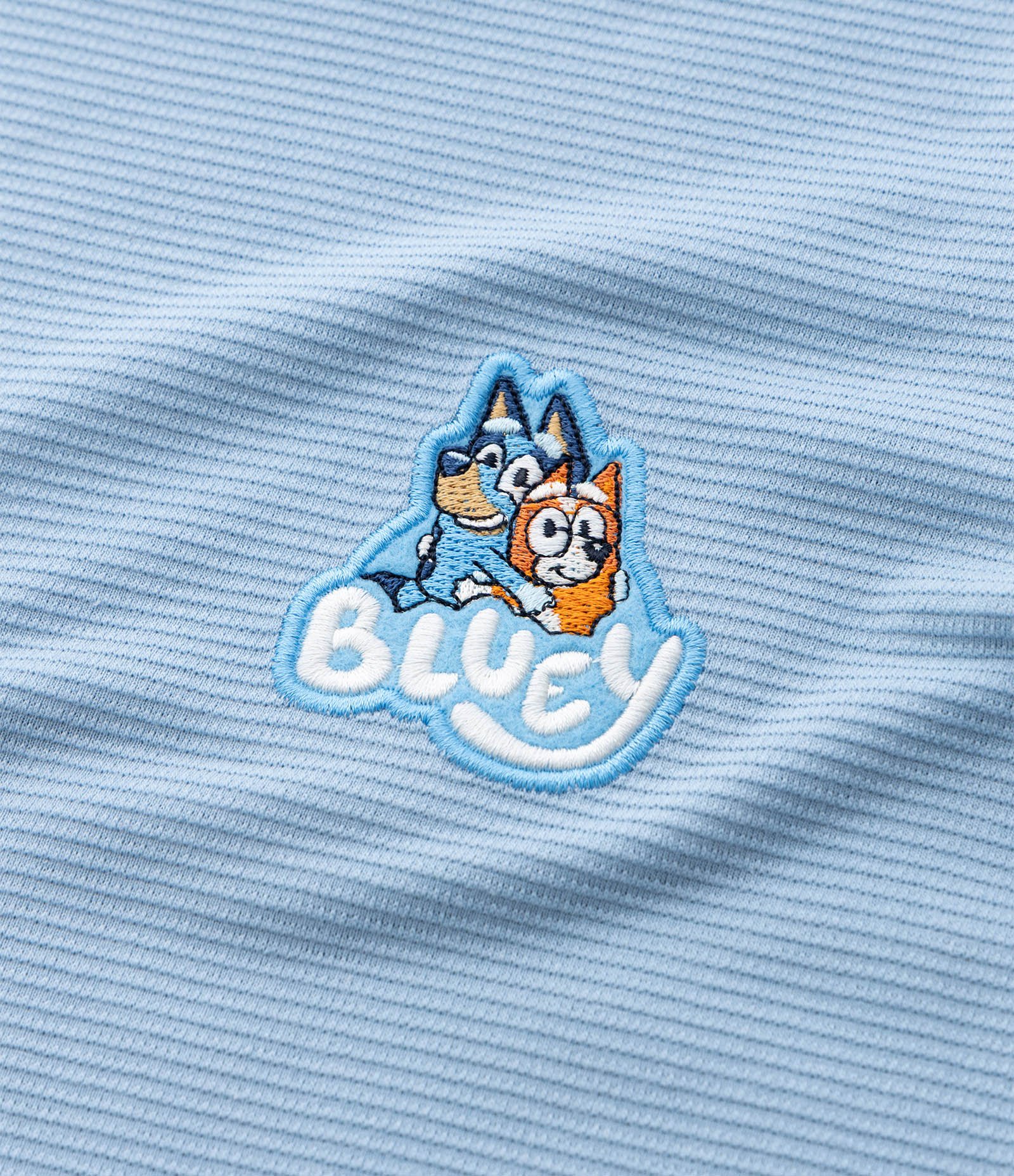 Camiseta Infantil com Estampa Bluey Canelada - Tam 2 a 6 Anos Azul 5
