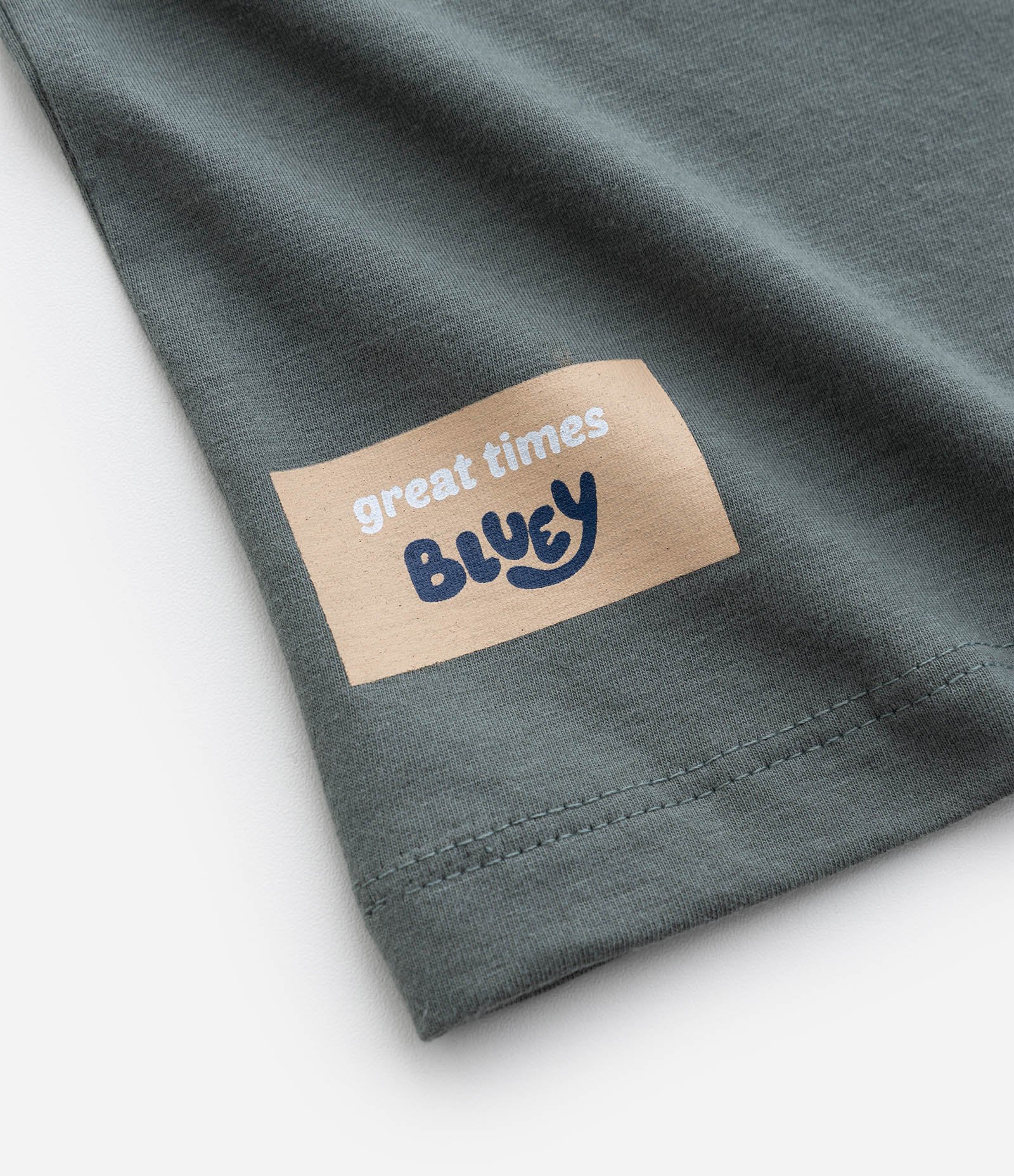 Conjunto Infantil Bluey Com Camiseta E Bermuda Listrada - Tam 2 A 6 Anos Verde/Bege 9