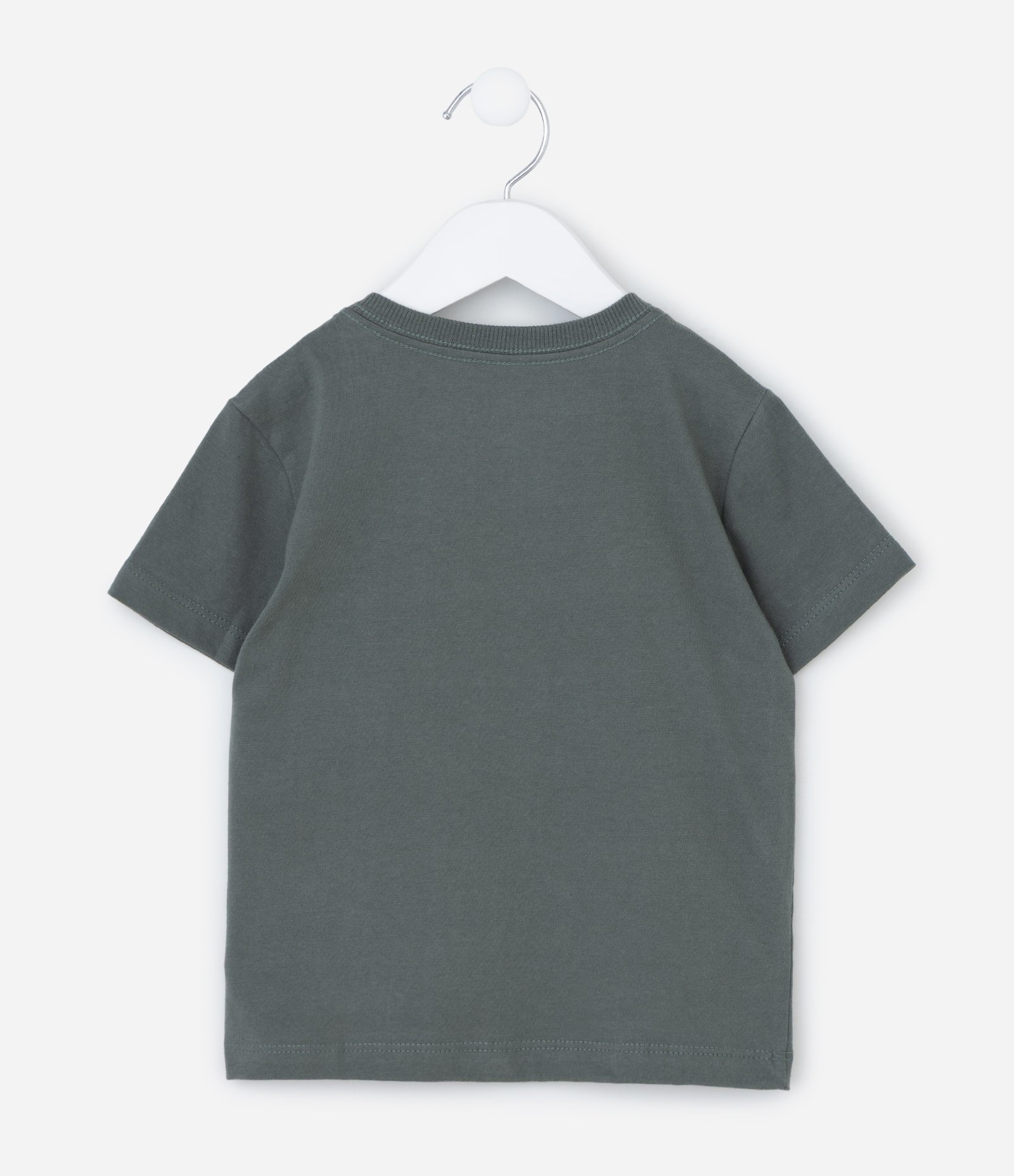 Conjunto Infantil Bluey Com Camiseta E Bermuda Listrada - Tam 2 A 6 Anos Verde/Bege 3