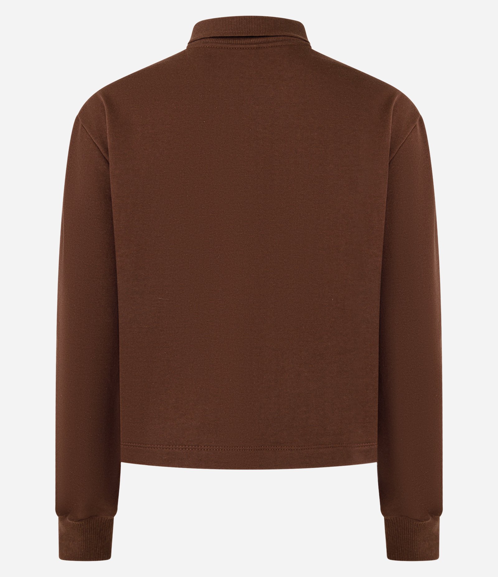 Suéter em Algodão com Gola Polo Marrom 6
