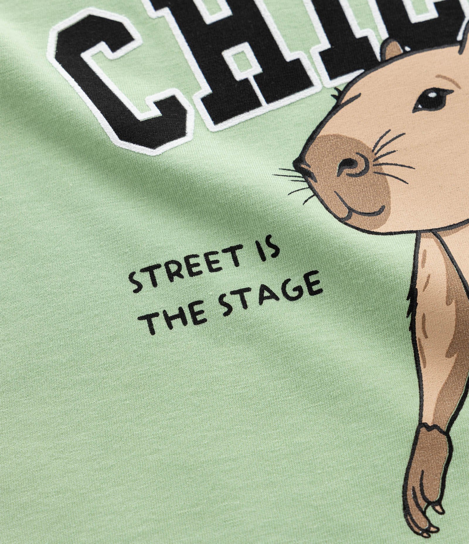 Pijama Longo Infantil com Estampa Xadrez e Capivara Skatista - Tam 5 a 14 Anos Verde/Preto 10