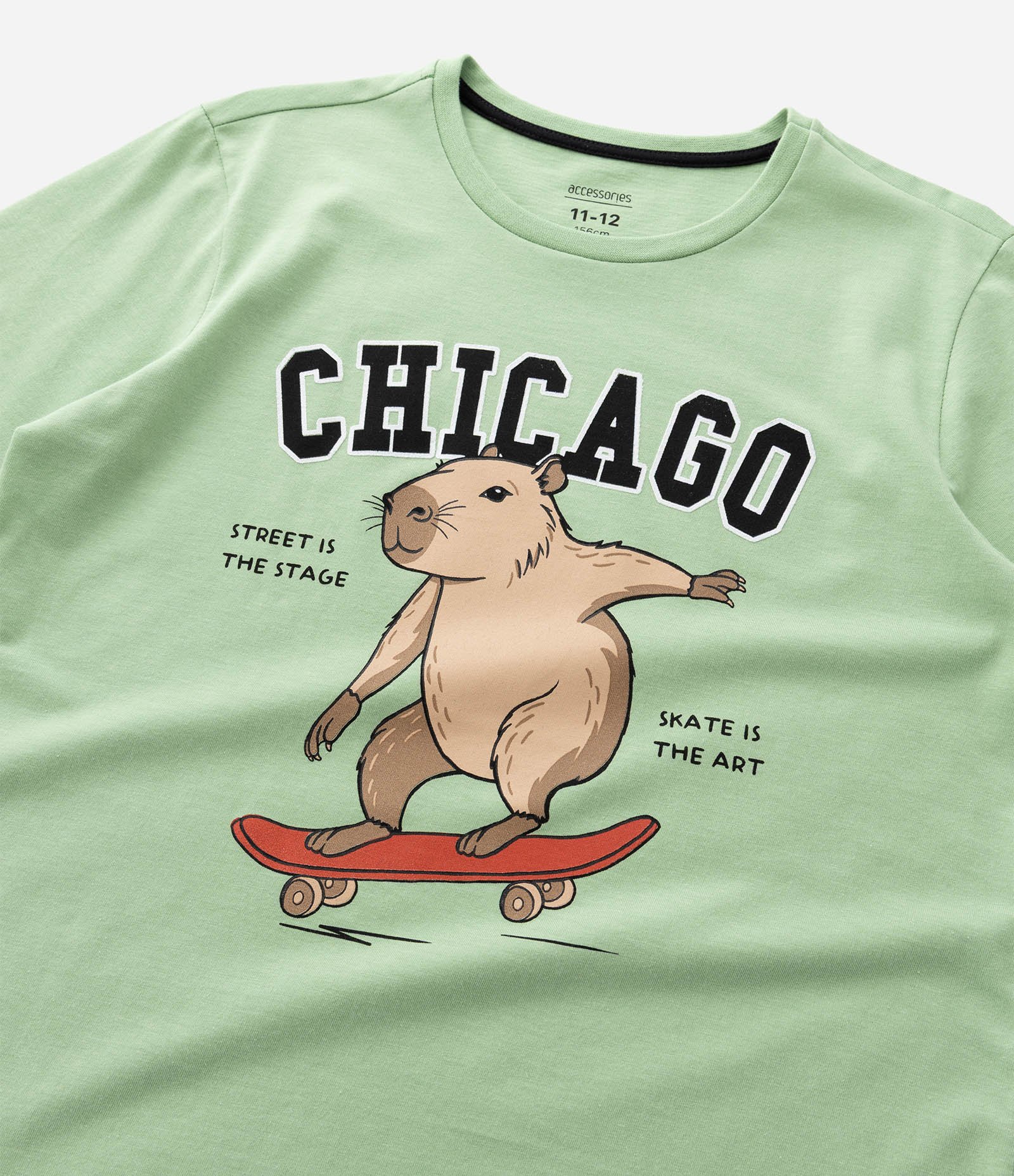 Pijama Longo Infantil com Estampa Xadrez e Capivara Skatista - Tam 5 a 14 Anos Verde/Preto 11