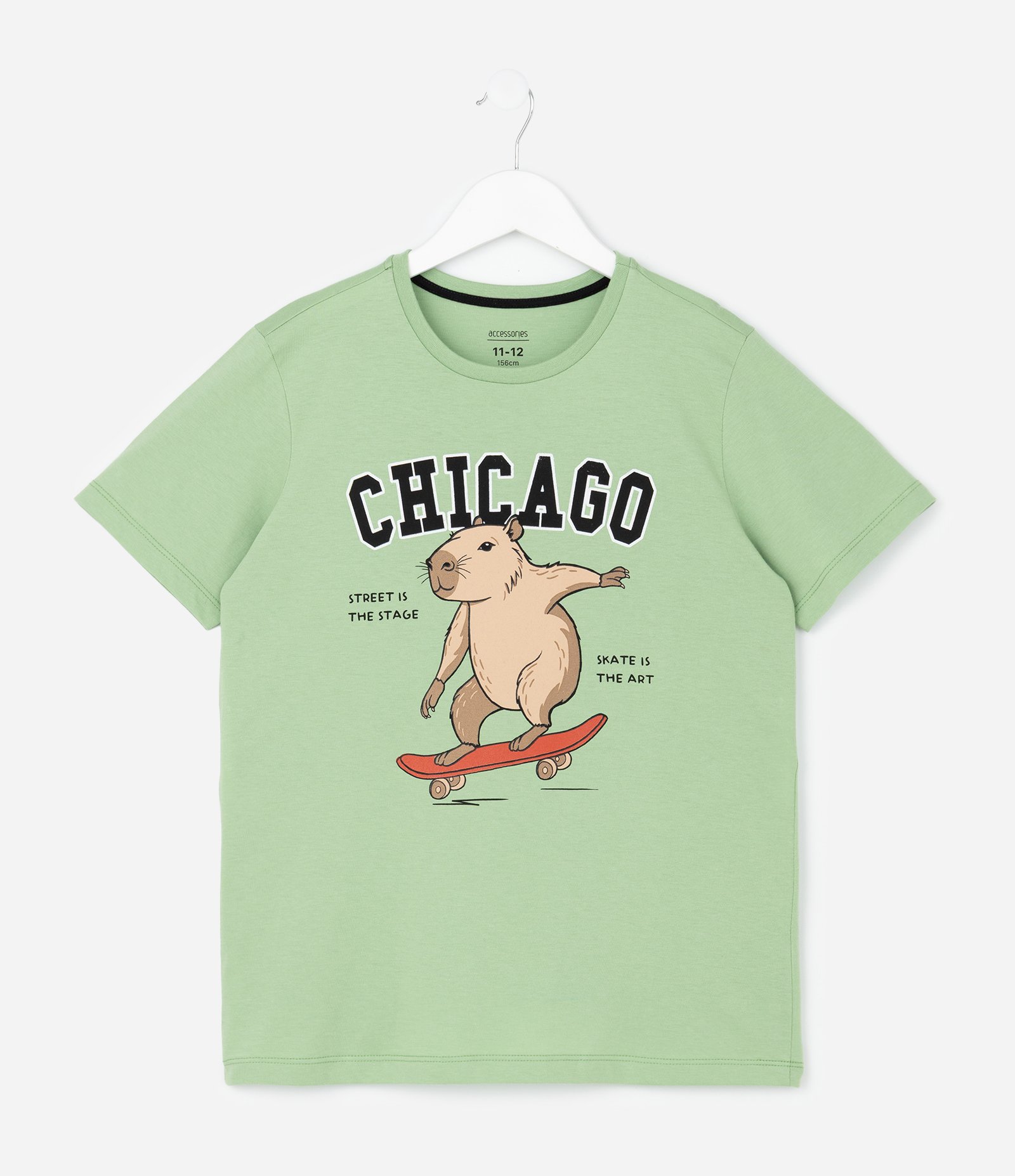 Pijama Longo Infantil com Estampa Xadrez e Capivara Skatista - Tam 5 a 14 Anos Verde/Preto 2