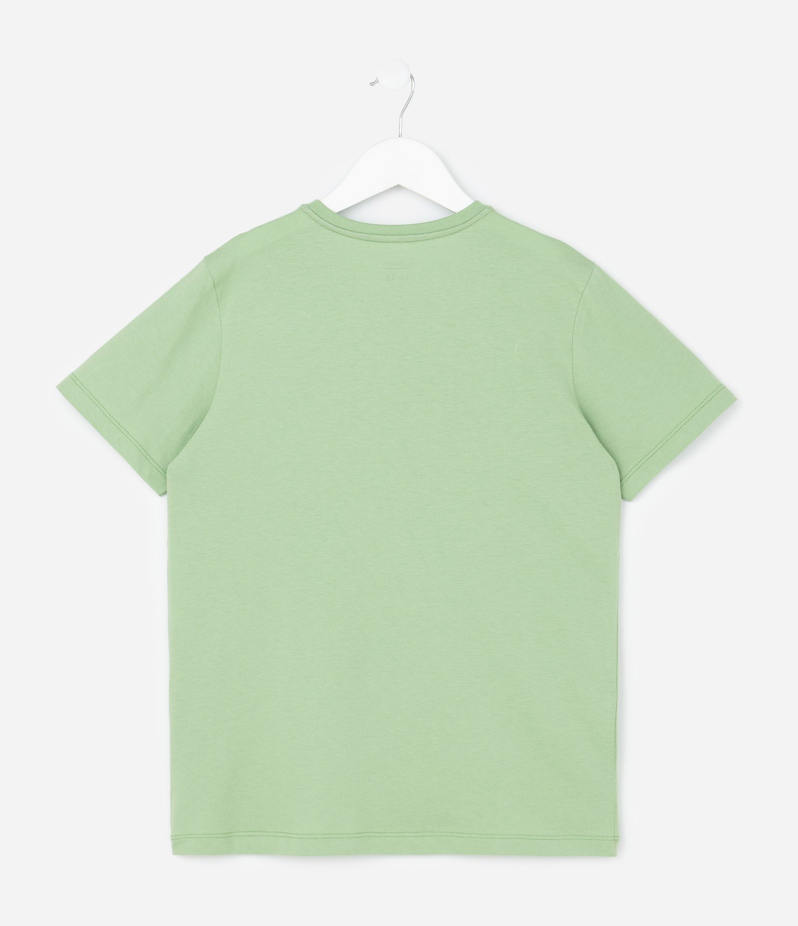 Pijama Longo Infantil com Estampa Xadrez e Capivara Skatista - Tam 5 a 14 Anos Verde/Preto 3