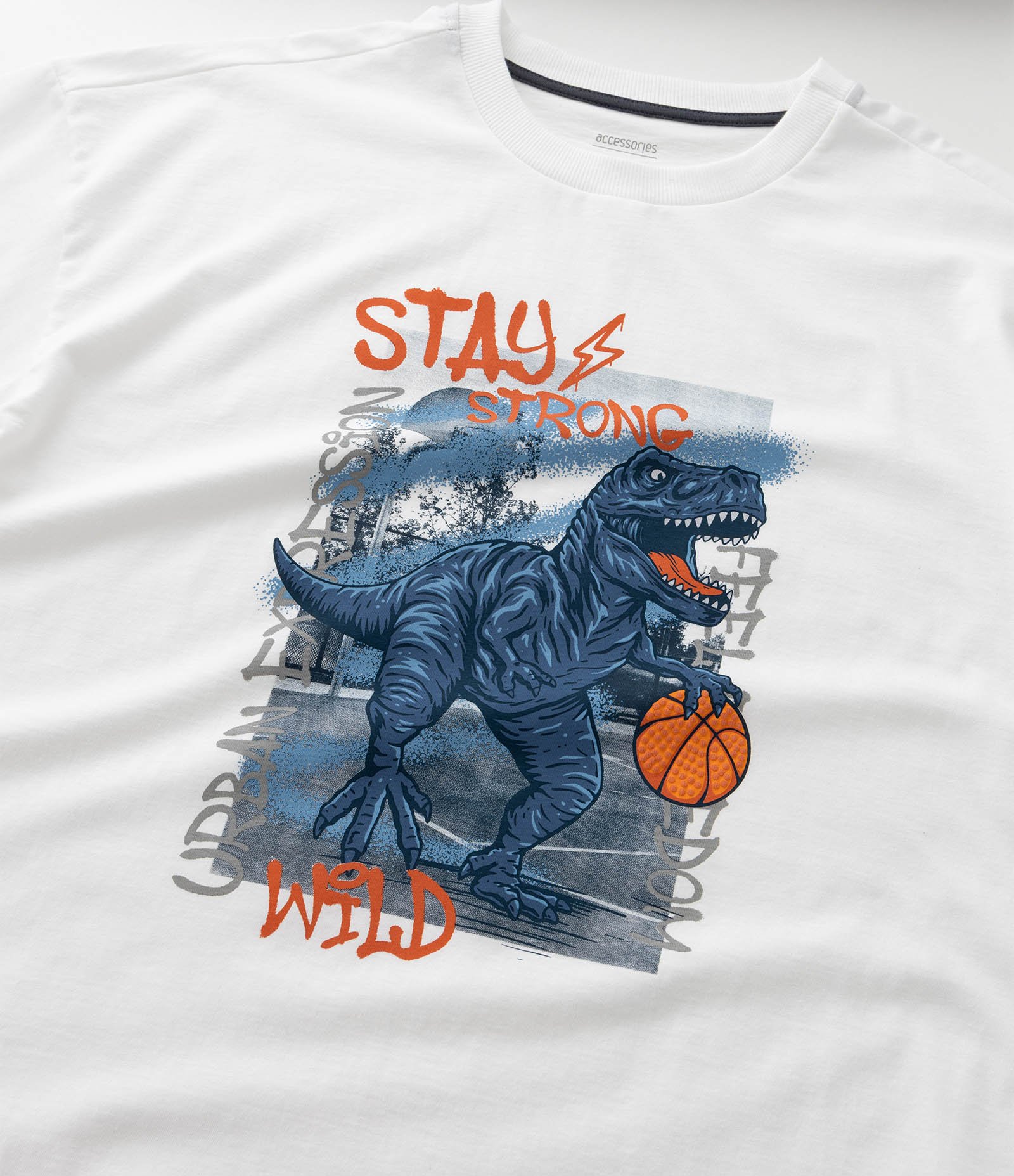 Pijama Infantil Curto com Estampa de Dinossauro - Tam 5 a 14 Anos Branco/Cinza 10