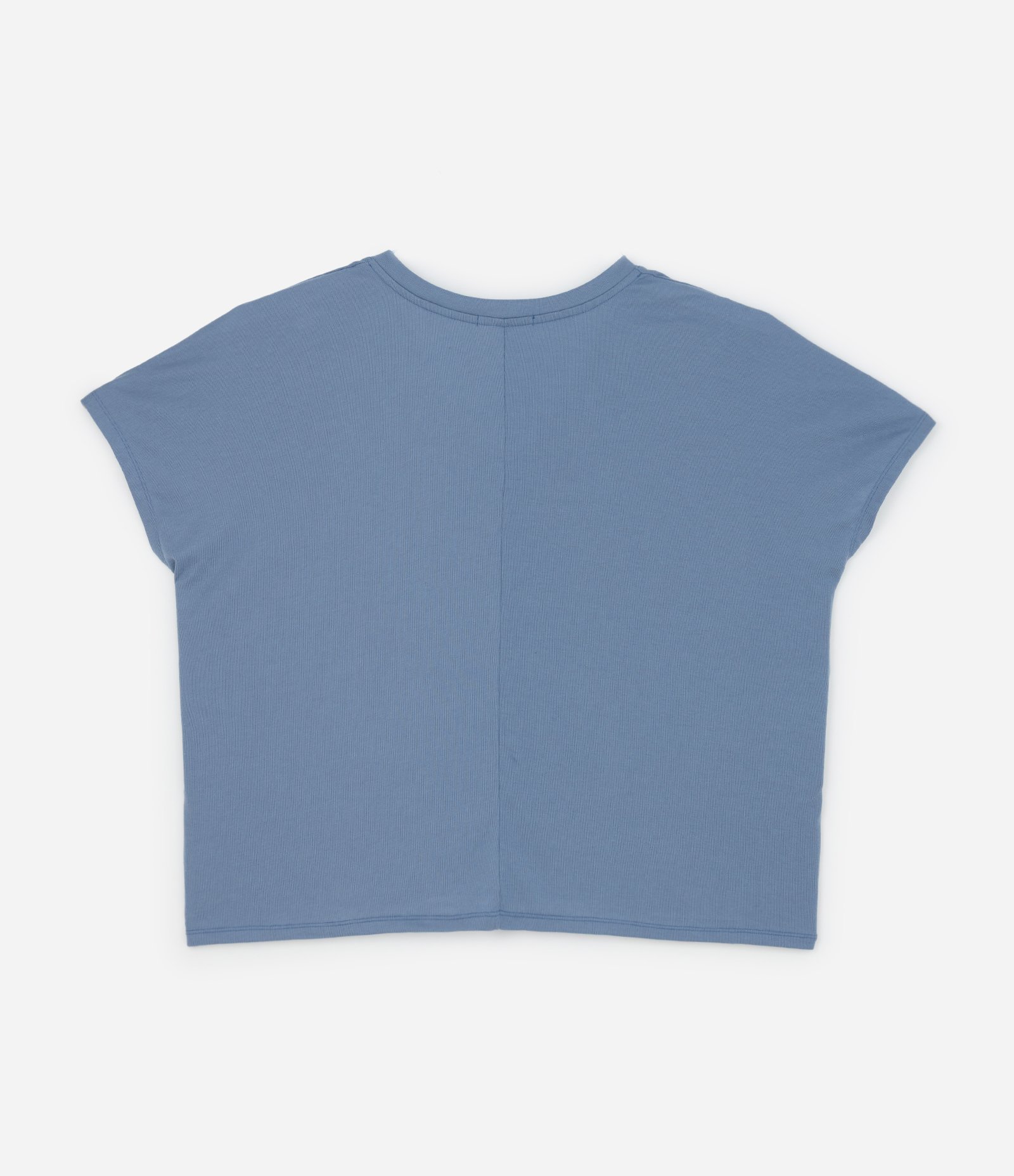 Blusa Básica em Ribana Gola V Curve & Plus Size Azul 5