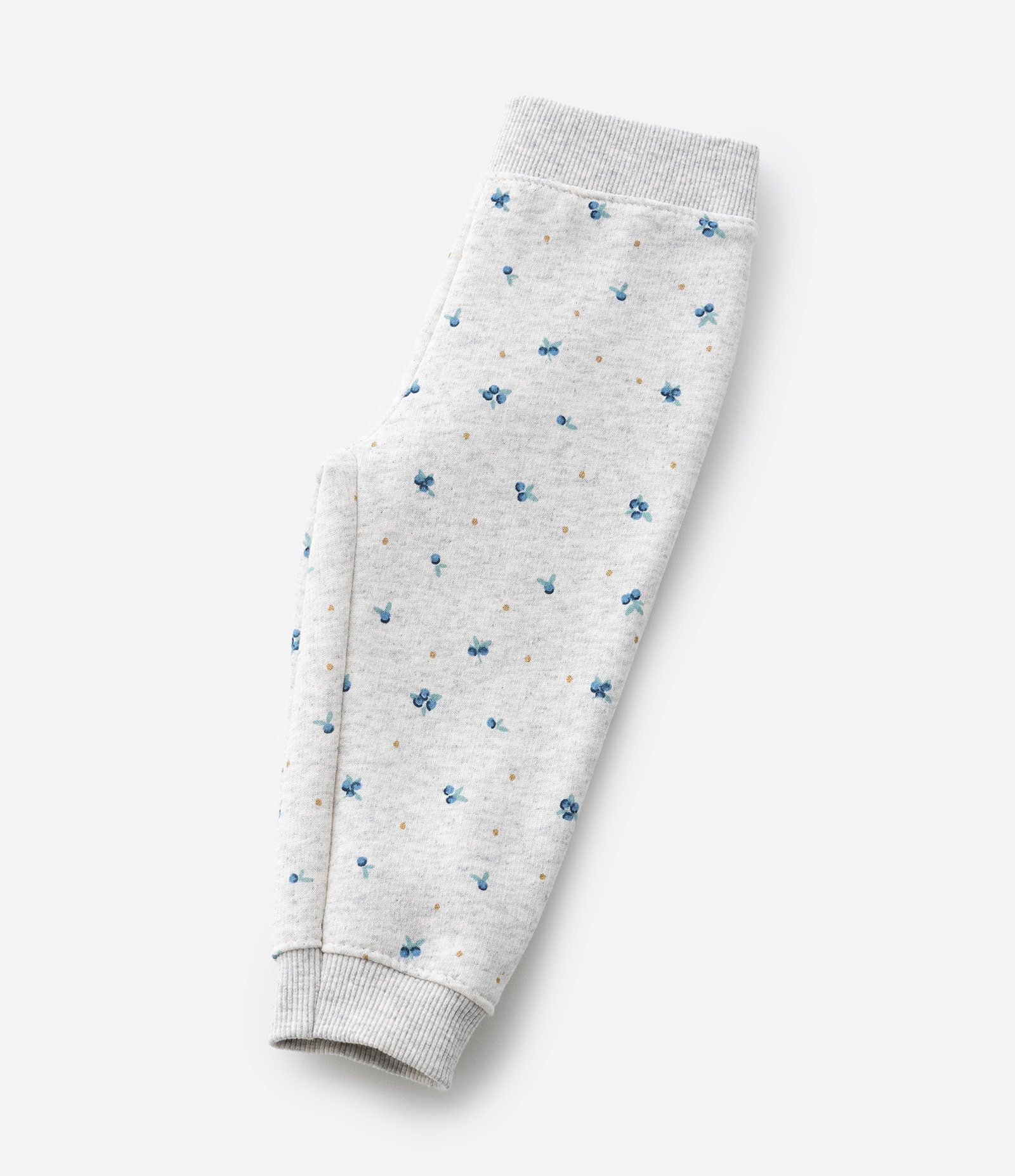 Calça Jogger em Moletom com Felpa com Estampa de Blueberry - Tam 0 a 18 Meses Cinza 7