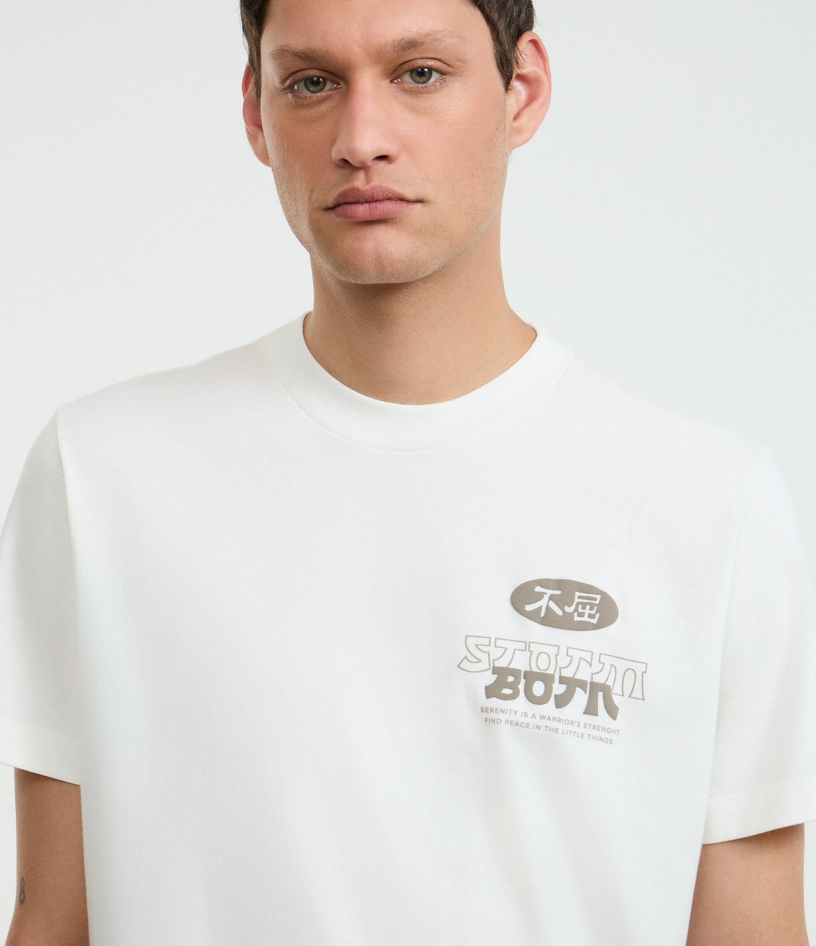 Camiseta Comfort em Algodão com Estampa Frente e Costas de Garça Branco 4