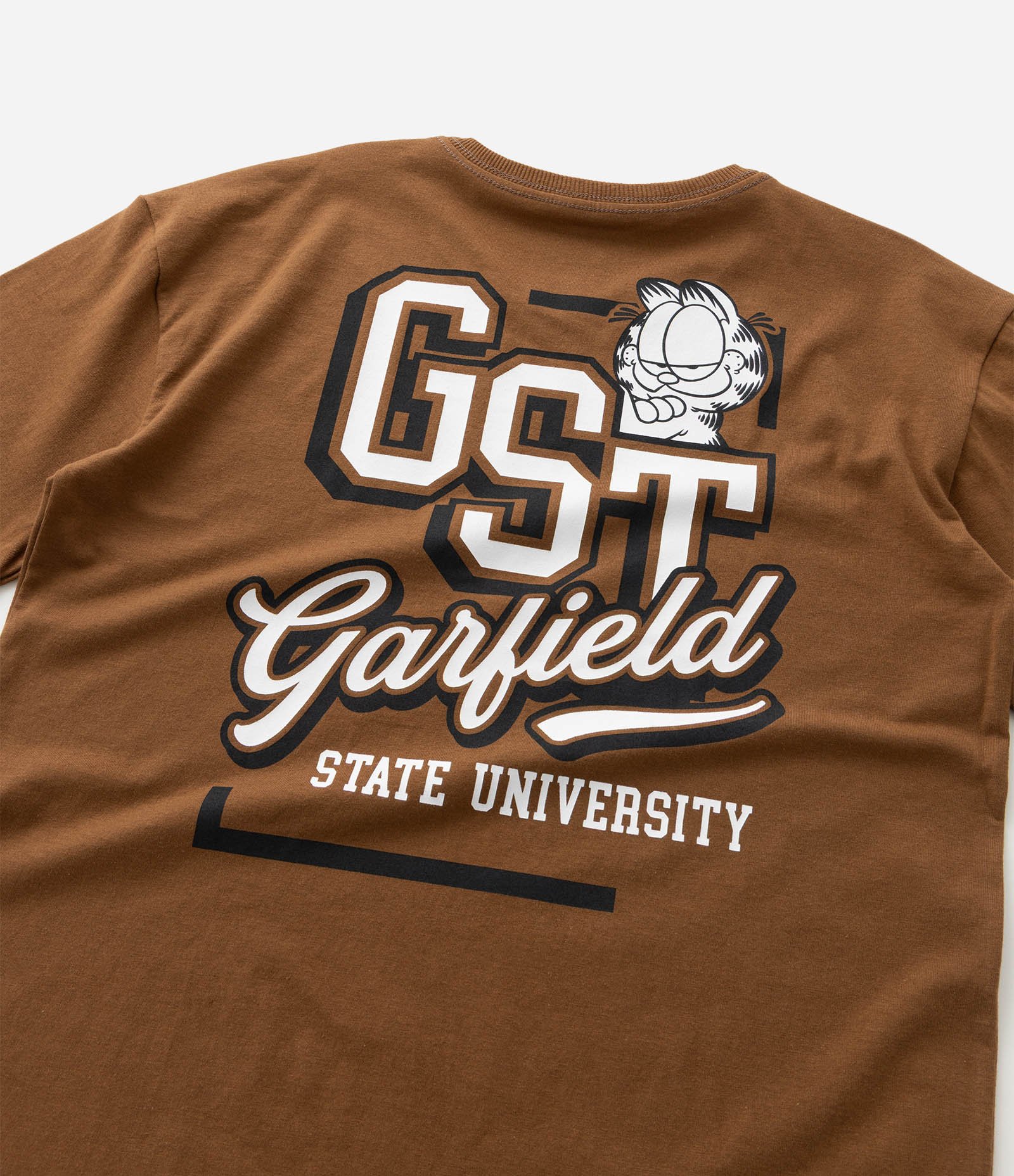 Camiseta Infantil Relaxed com Estampa Garfield - Tam 5 a 14 Anos Marrom 6