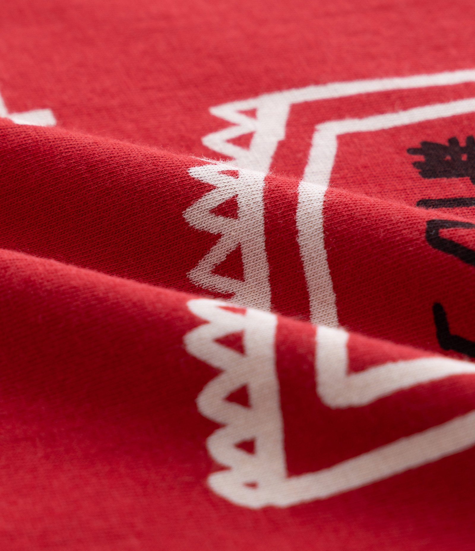 Camiseta Infantil Regular com Estampa de Sushi - Tam 5 a 14 Anos Vermelho 3