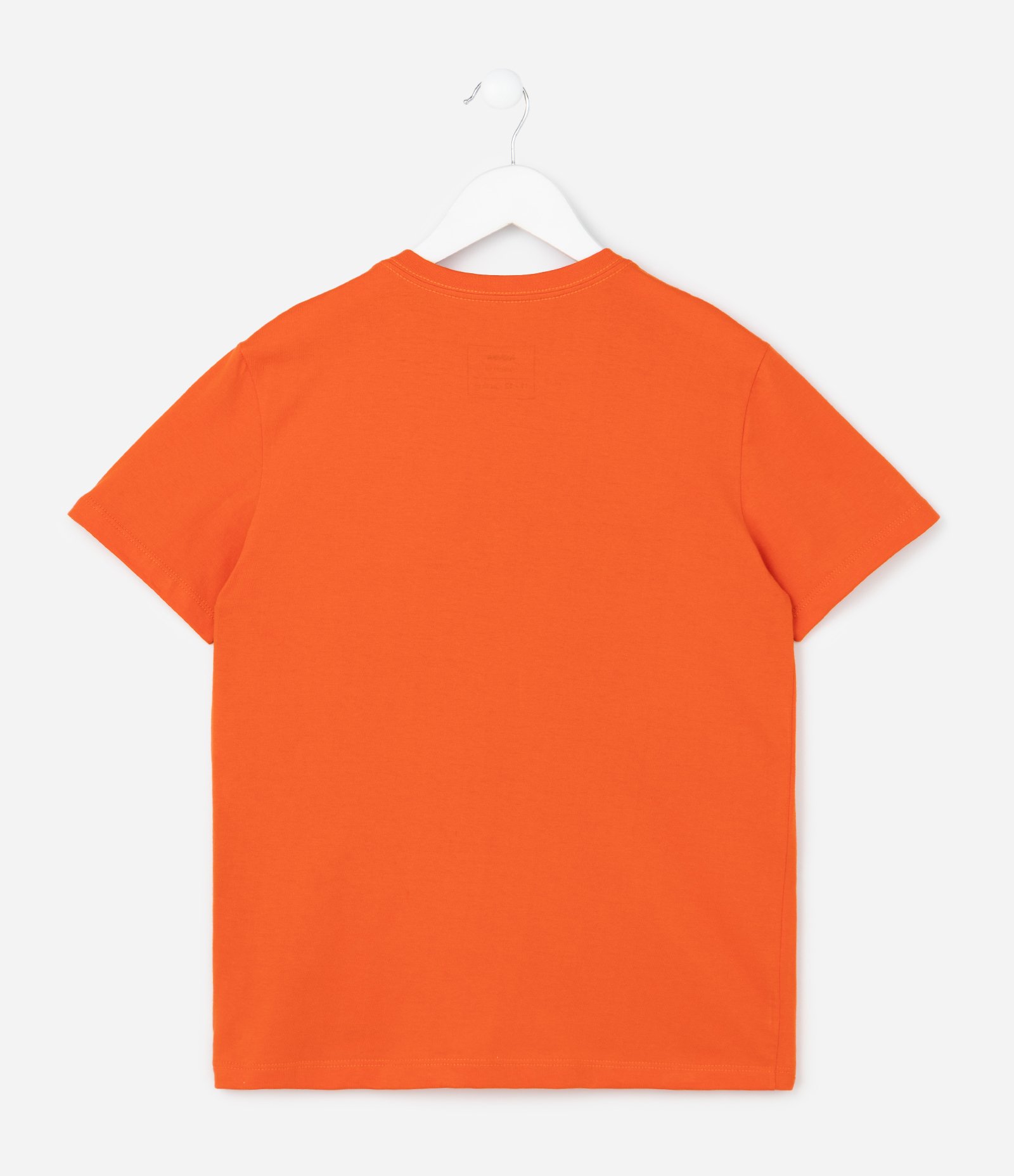Camiseta Infantil Regular com Estampa de Peixes - Tam 5 a 14 Anos Laranja 2