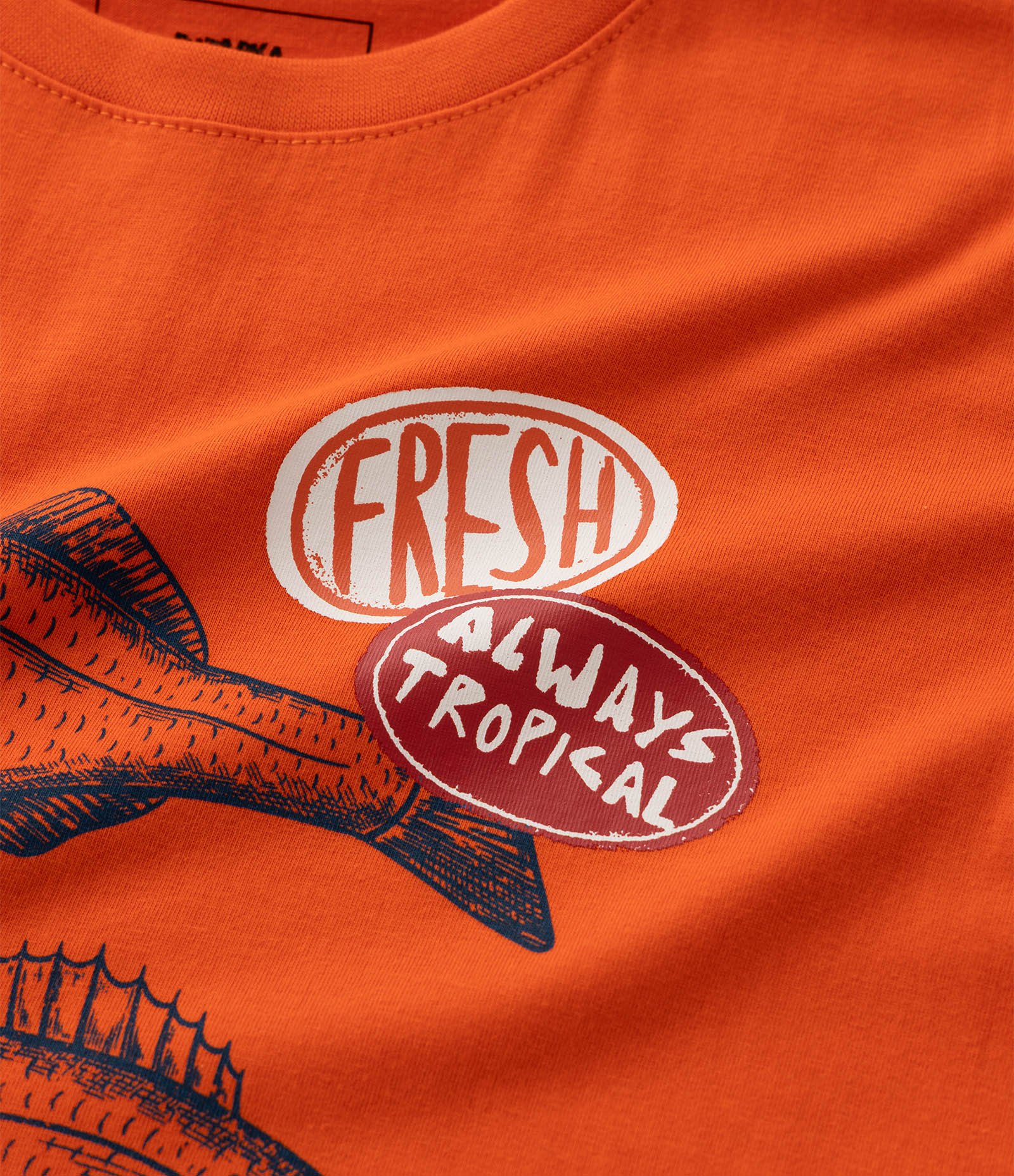 Camiseta Infantil Regular com Estampa de Peixes - Tam 5 a 14 Anos Laranja 4