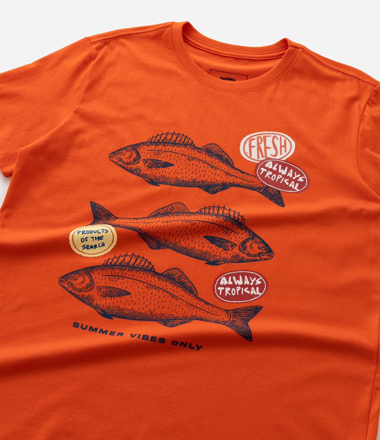 Camiseta Infantil Regular com Estampa de Peixes - Tam 5 a 14 Anos Laranja 5
