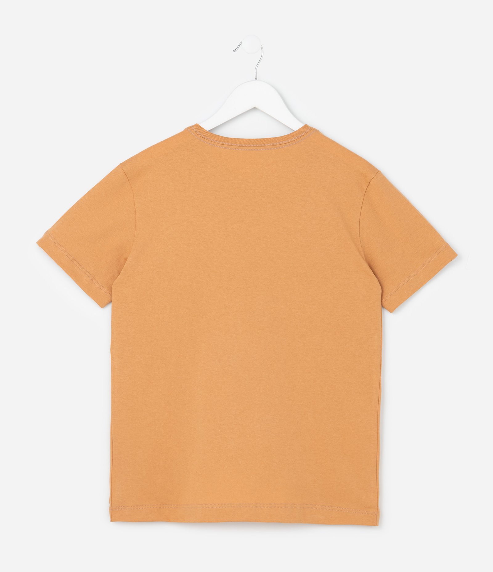Camiseta Infantil Regular com Estampa Mini Silk - Tam 5 a 14 Anos Laranja 2
